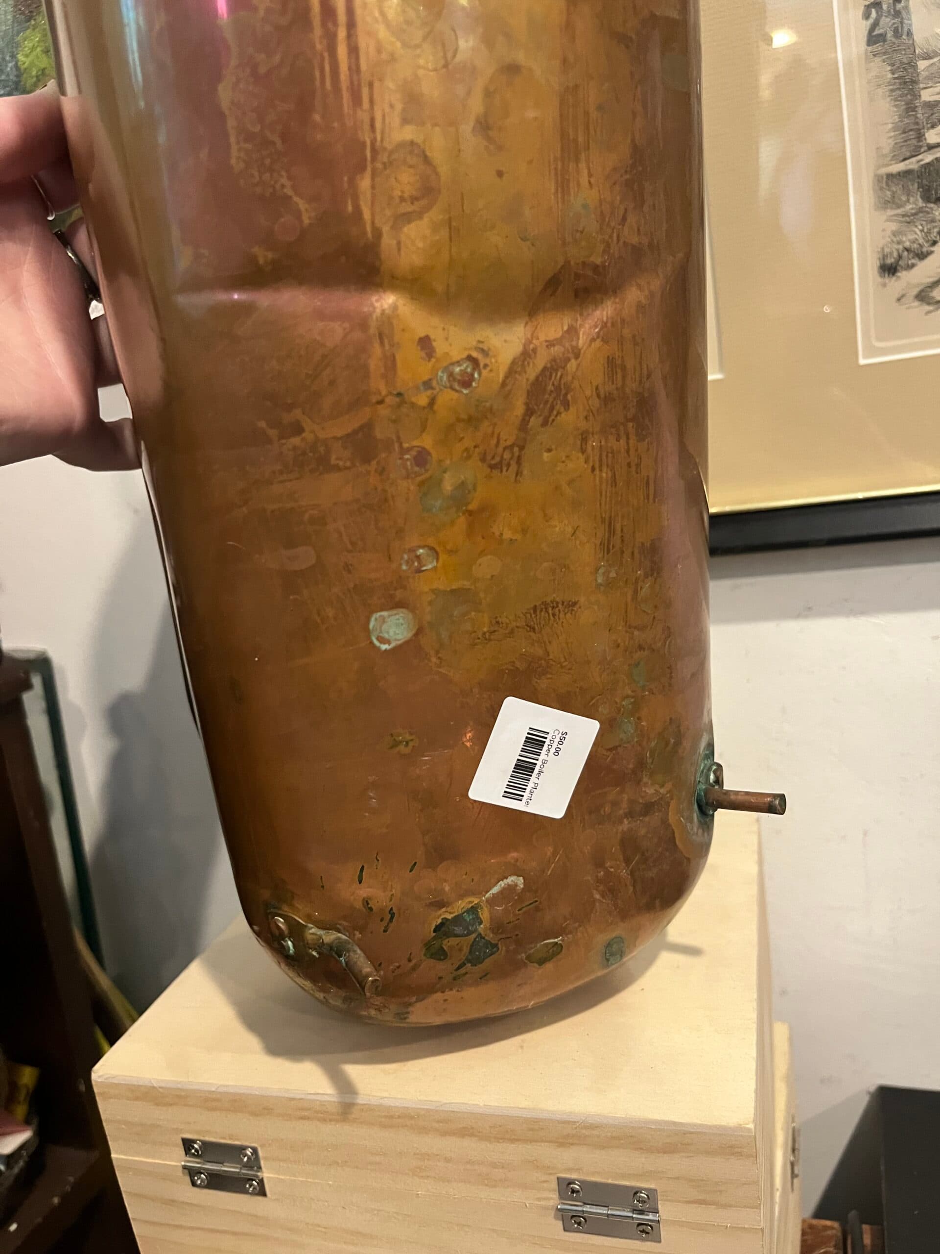 Copper Boiler Planter - Regular - Thumbnail 6