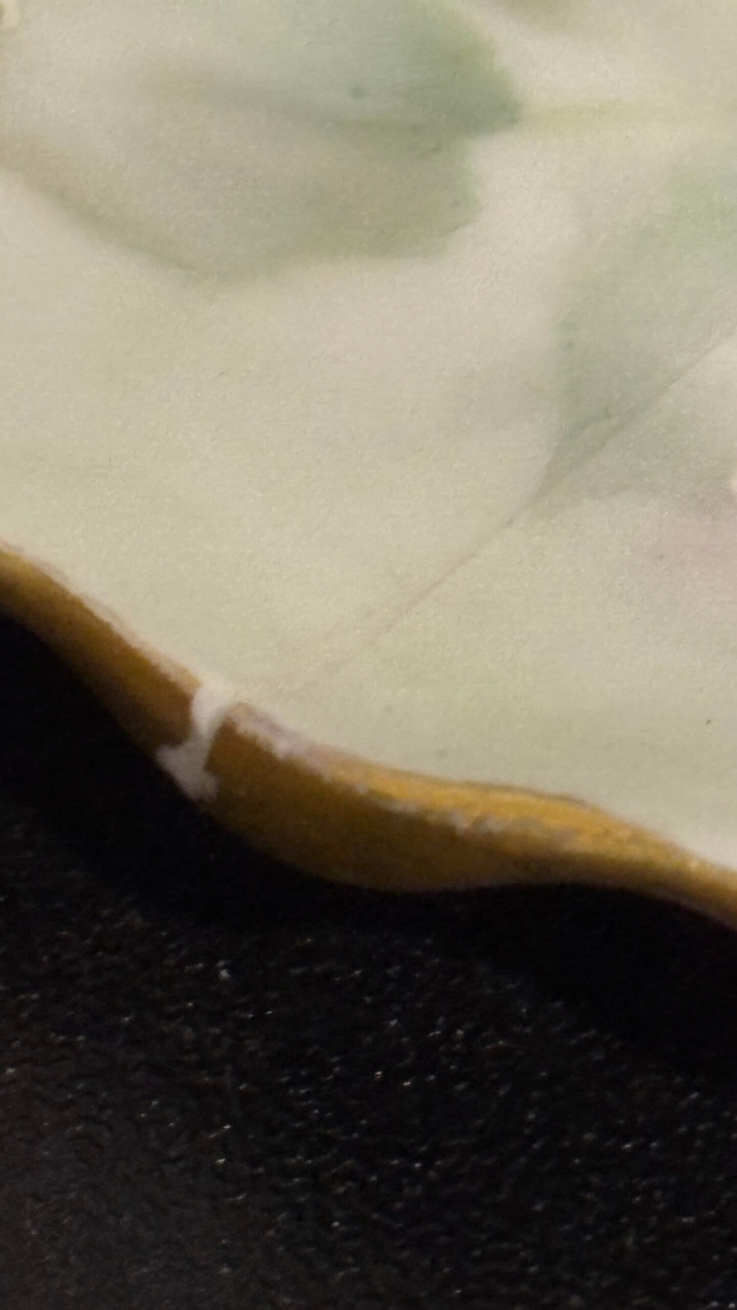 AS IS Hand painted rimmed bowl with handle - Regular - Thumbnail 4