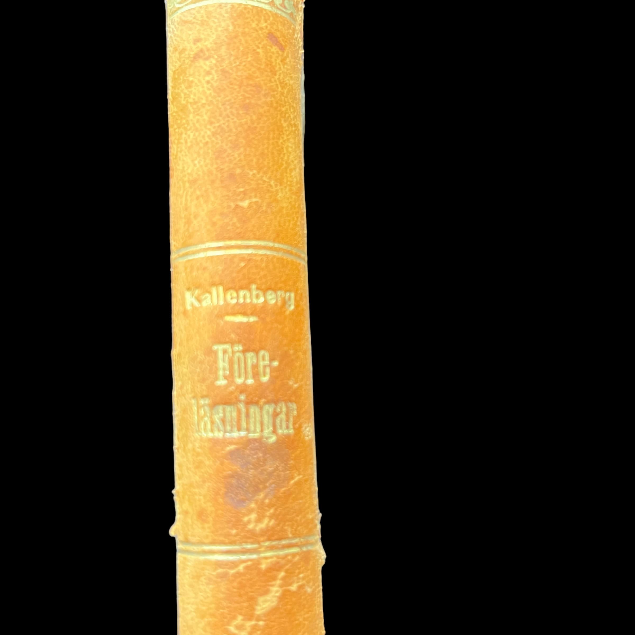 Antique Swedish Law Book - Regular - Thumbnail 3