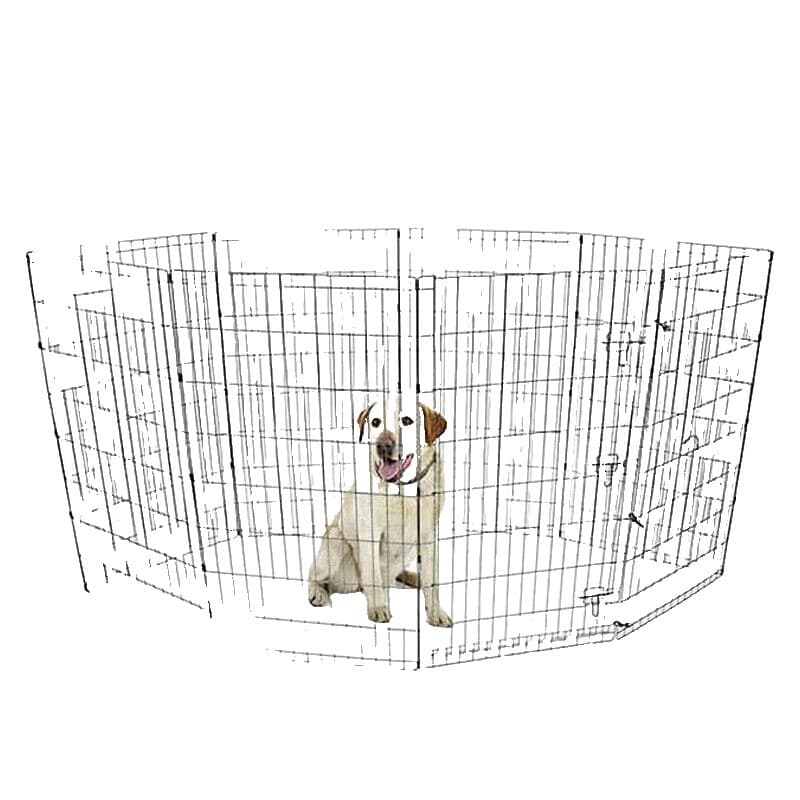 Electric Dog Fence System - Thumbnail 22