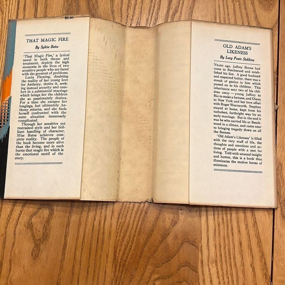 That Magic Fire by Sylvia‎ Bates First Edition 1928 - Thumbnail 4