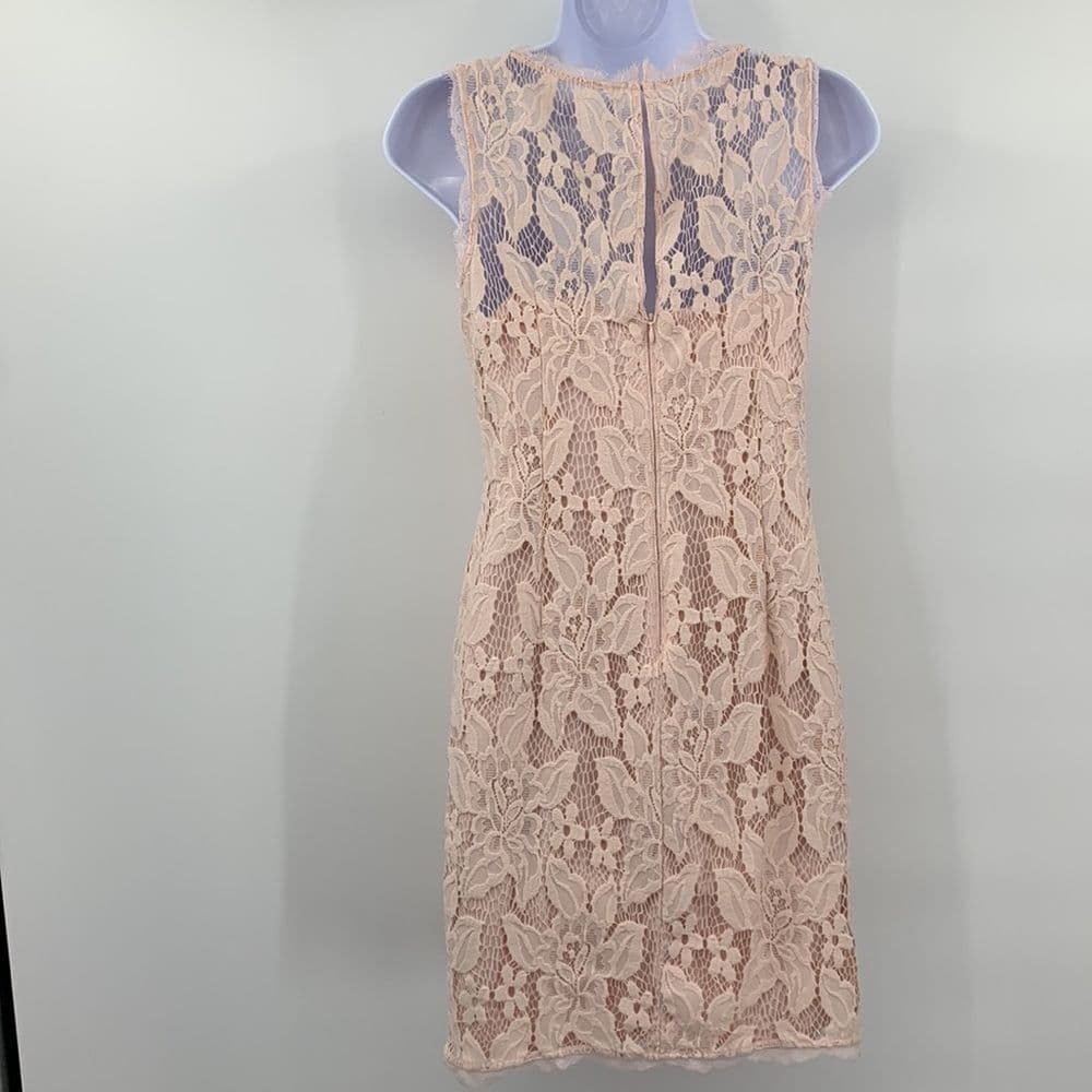 Adrianna Papell Blush Pink Lace‎ Sleeveless Dress Sz 4 - Thumbnail 4