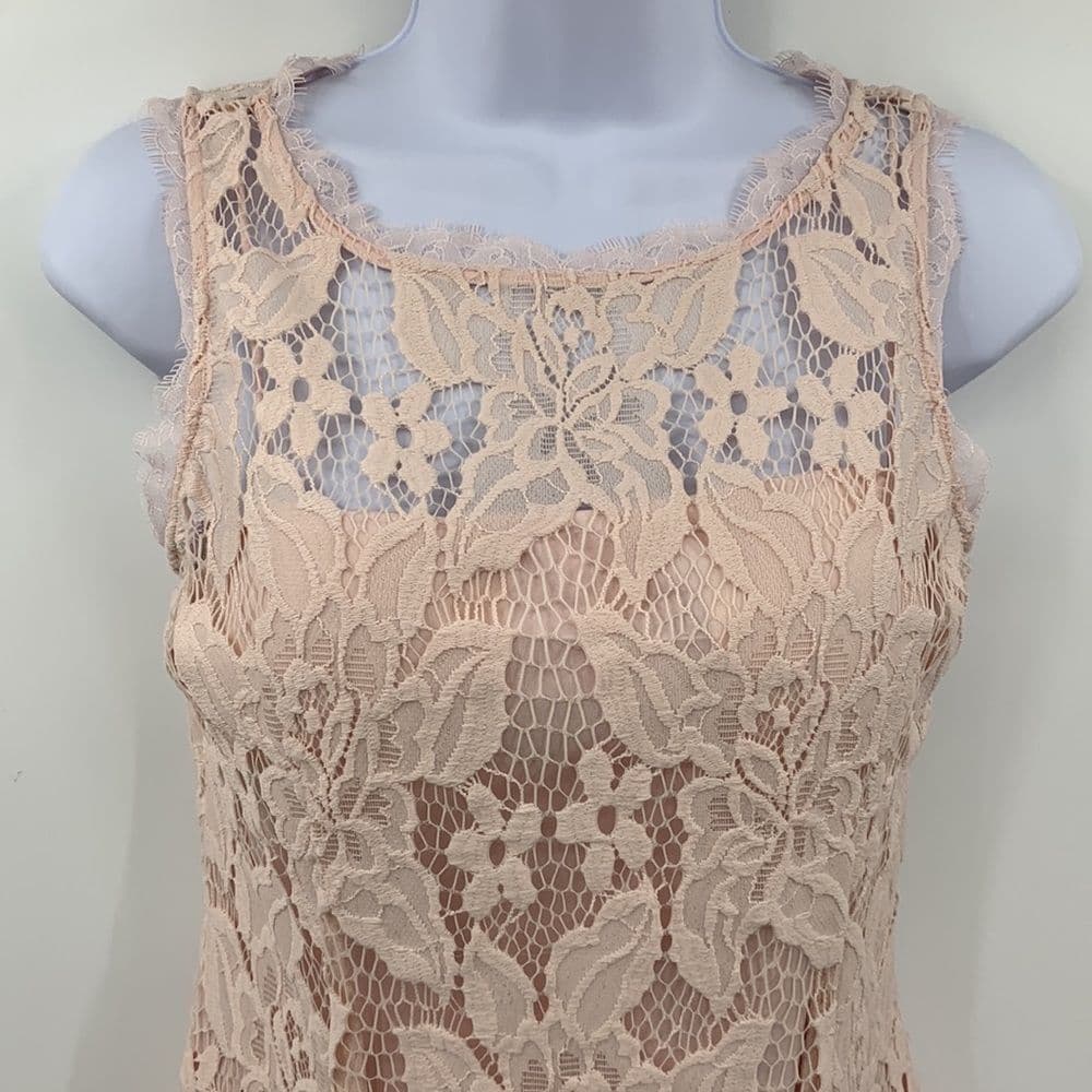 Adrianna Papell Blush Pink Lace‎ Sleeveless Dress Sz 4 - Thumbnail 2