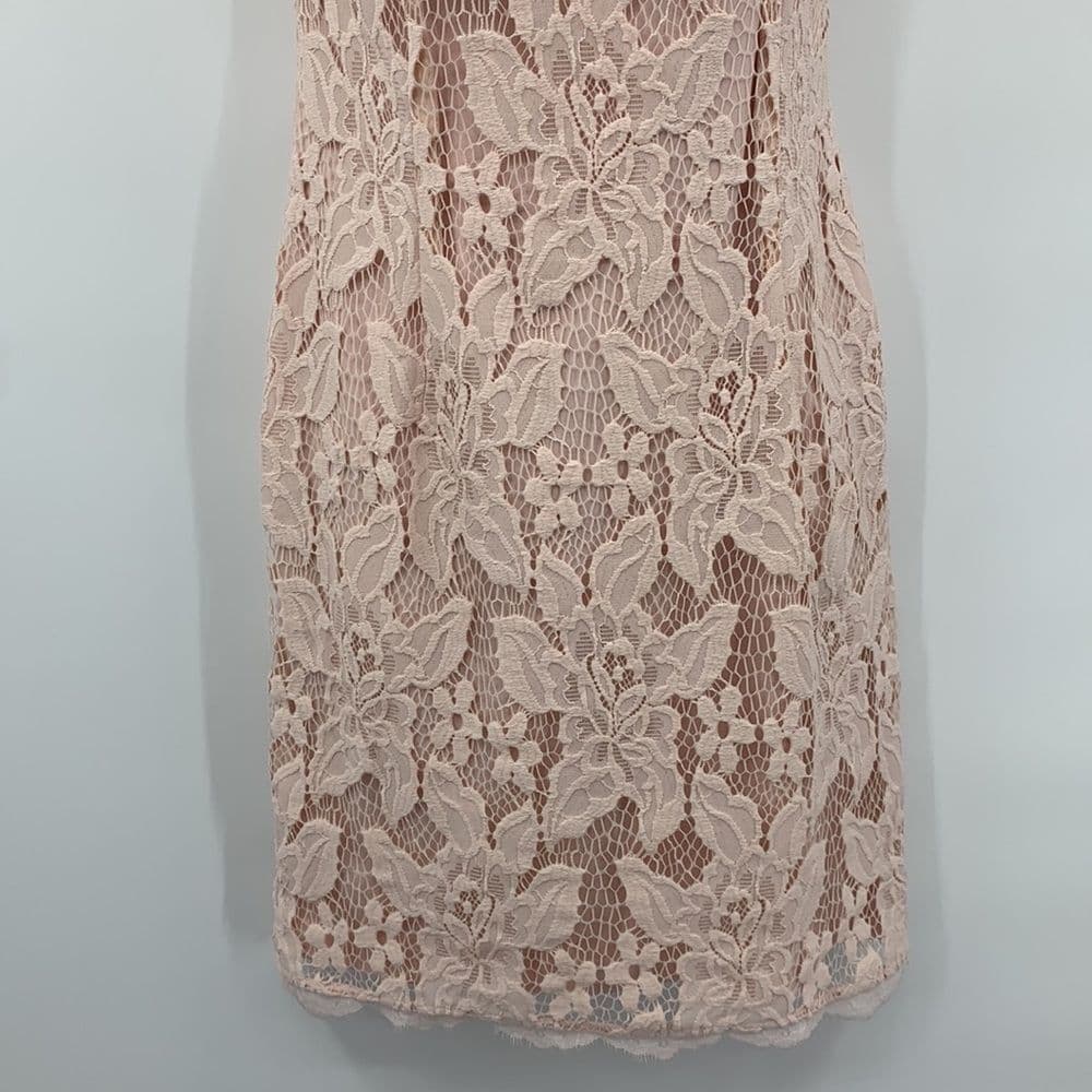 Adrianna Papell Blush Pink Lace‎ Sleeveless Dress Sz 4 - Thumbnail 3