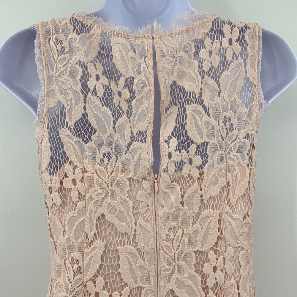 Adrianna Papell Blush Pink Lace‎ Sleeveless Dress Sz 4 - Thumbnail 5
