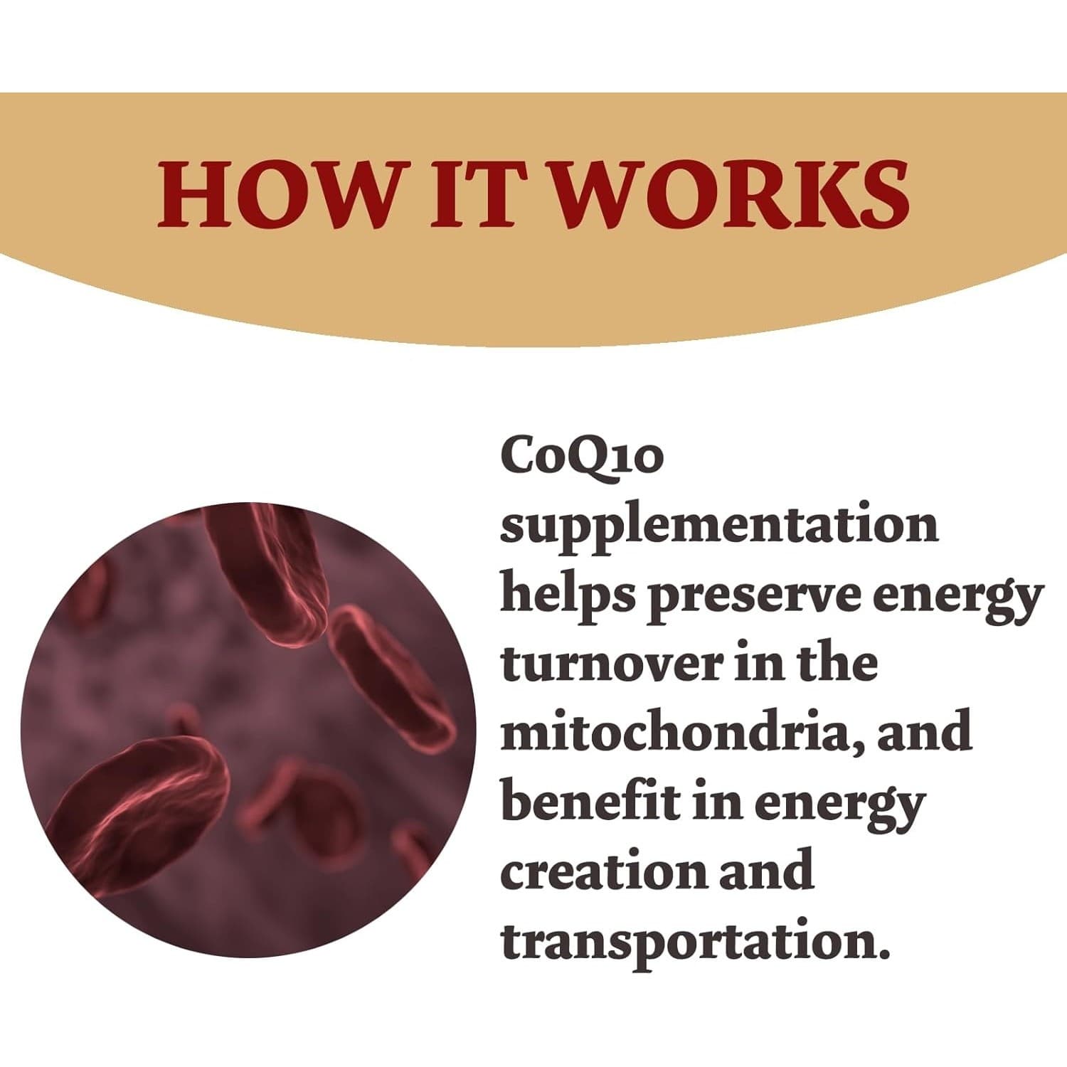 CoQ10 300mg High Absorption 120 Capsules Non-GMO Gluten-Free Dietary Supplement - Thumbnail 6