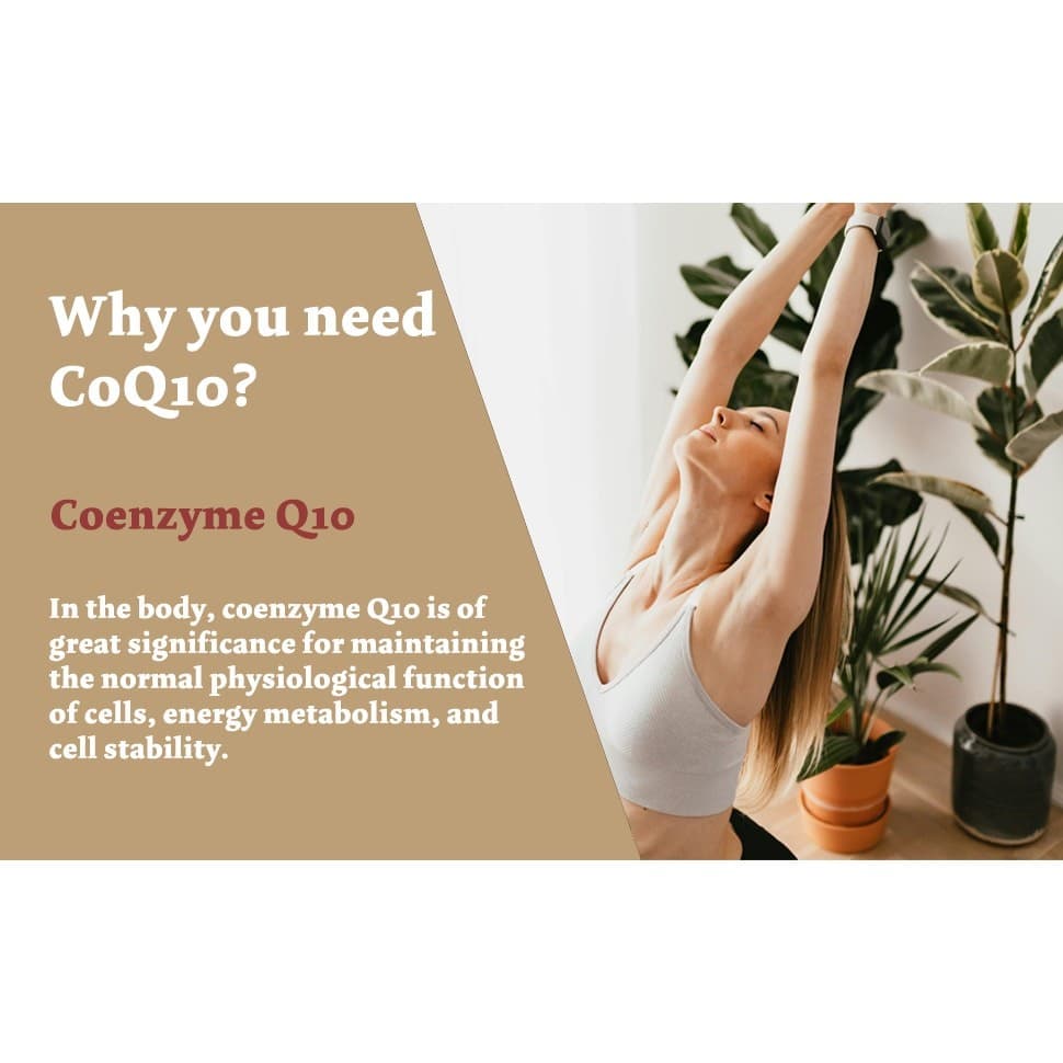 CoQ10 300mg High Absorption 120 Capsules Non-GMO Gluten-Free Dietary Supplement - Thumbnail 10