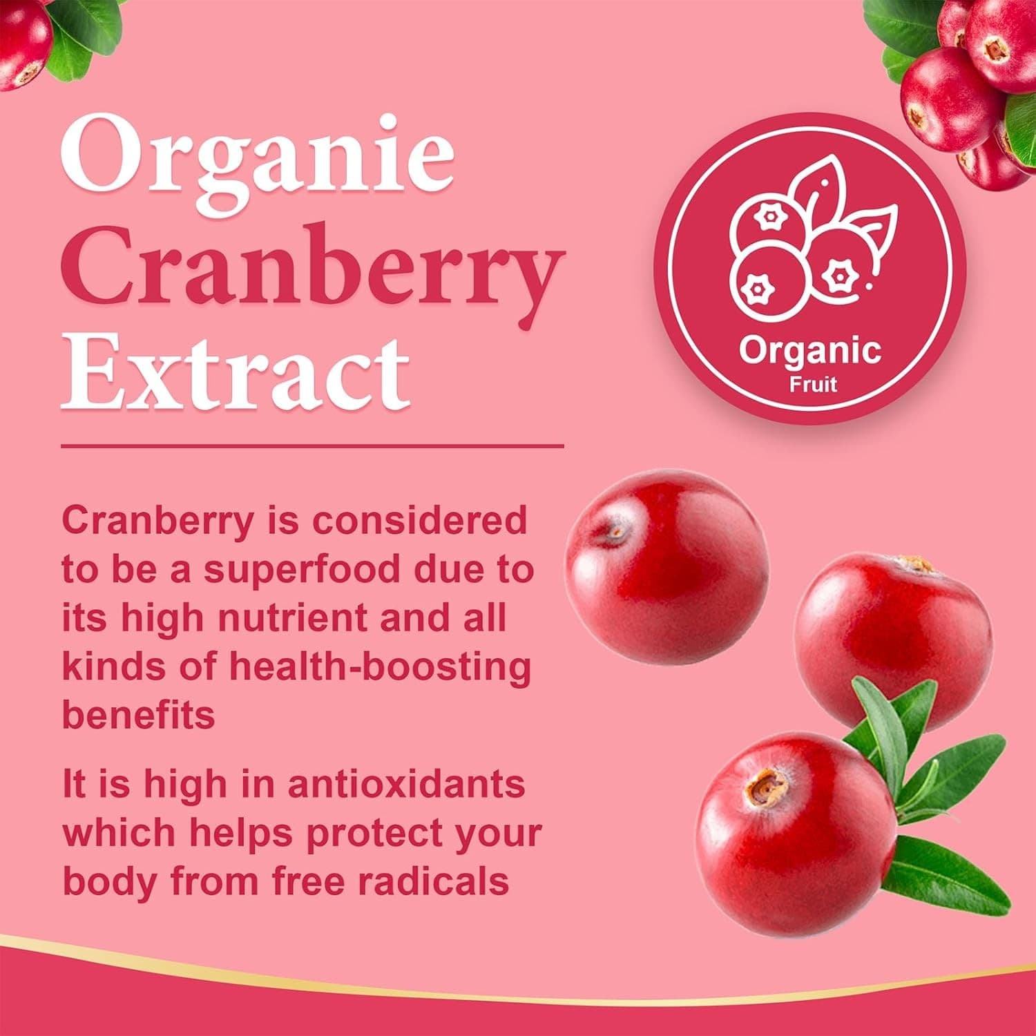 Vaginal Probiotics for Women 42 Billion CFU pH Balance Cranberry 60 Caps - Thumbnail 3