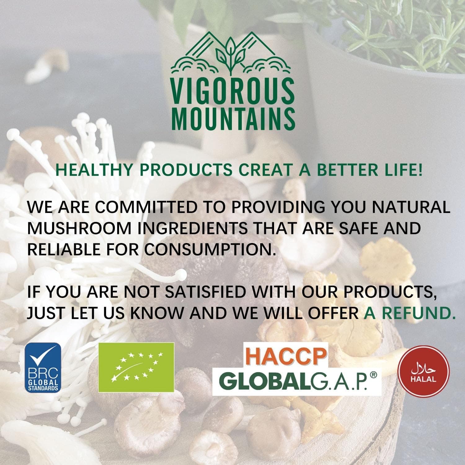 Vigorous Mountains Dried Black Fungus Woodear Mushrooms 2oz 野木耳 Dry Mushrooms - Thumbnail 8