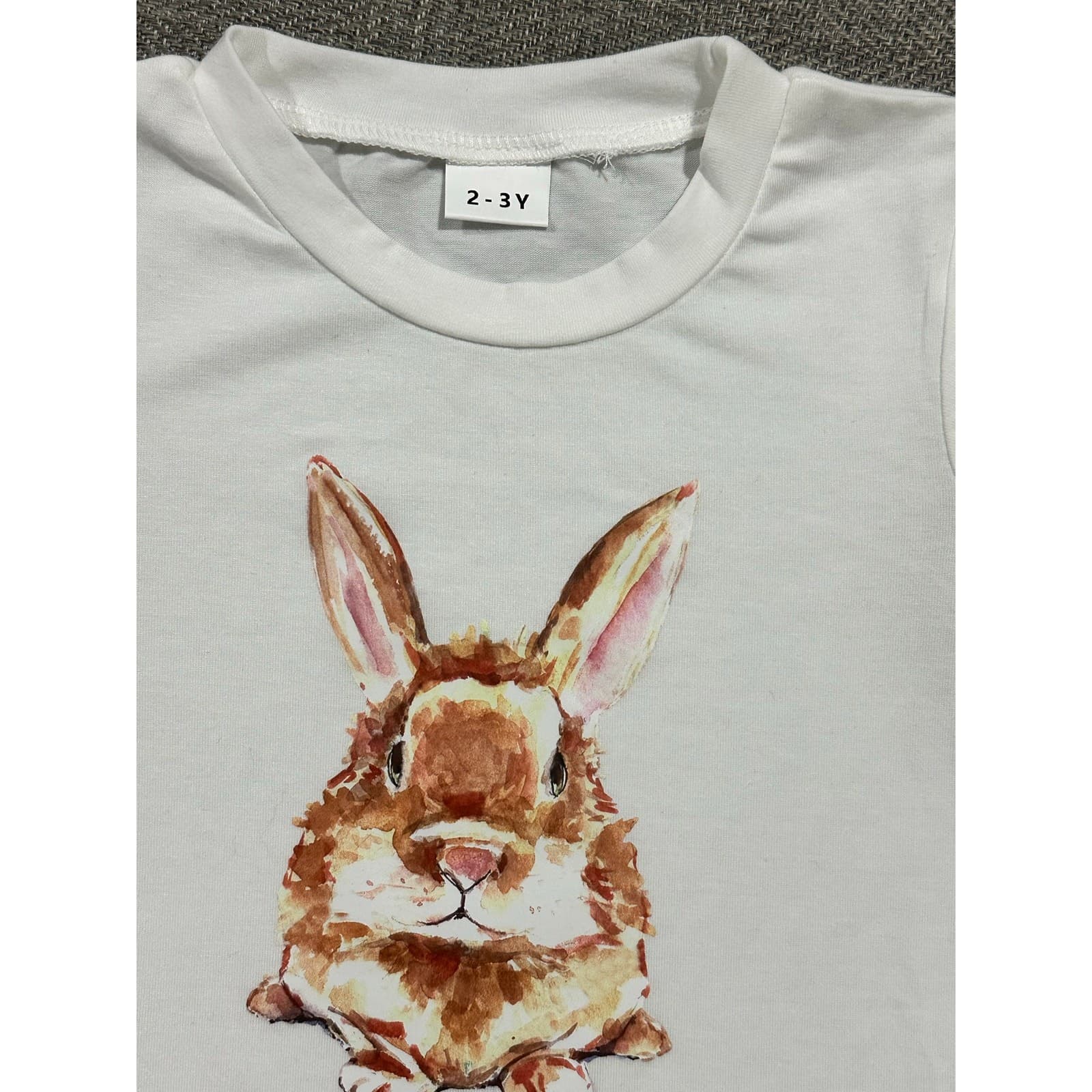 Toddler Boy Easter Outfit Bunny T-Shirt & Shorts Set Size 2–3 Years - Thumbnail 7