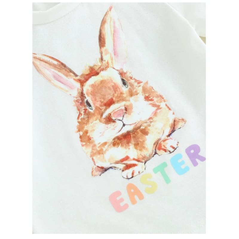 Toddler Boy Easter Outfit Bunny T-Shirt & Shorts Set Size 2–3 Years - Thumbnail 9