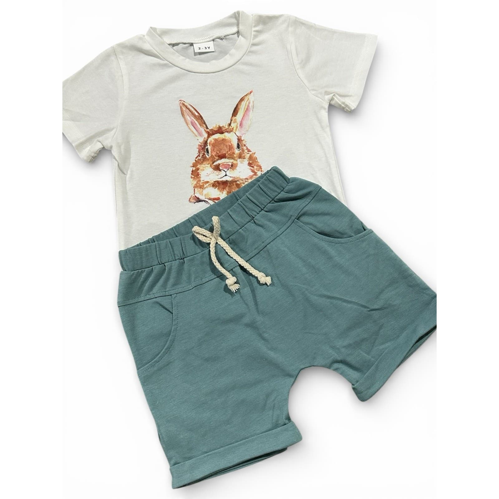 Toddler Boy Easter Outfit Bunny T-Shirt & Shorts Set Size 2–3 Years - Thumbnail 5