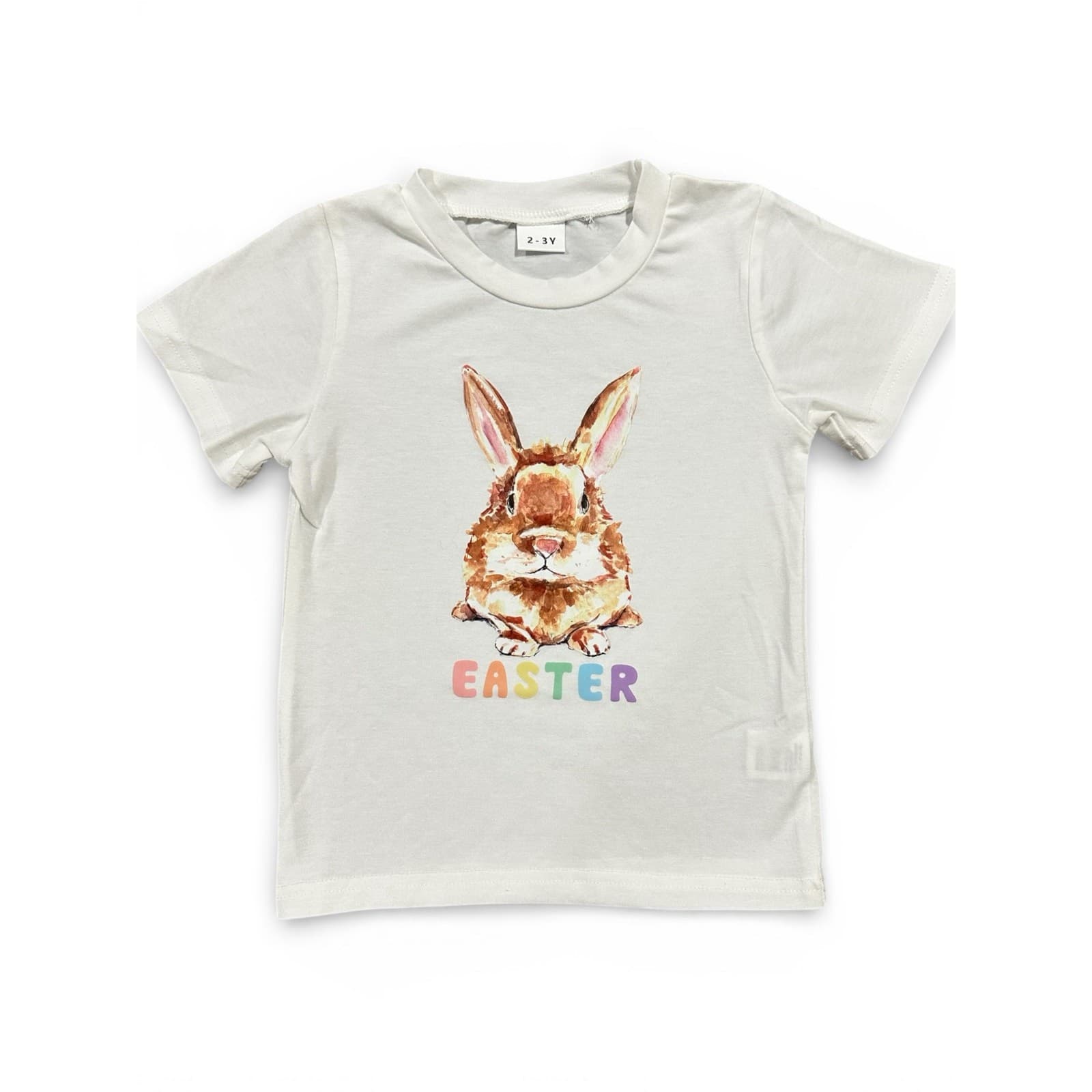 Toddler Boy Easter Outfit Bunny T-Shirt & Shorts Set Size 2–3 Years - Thumbnail 4