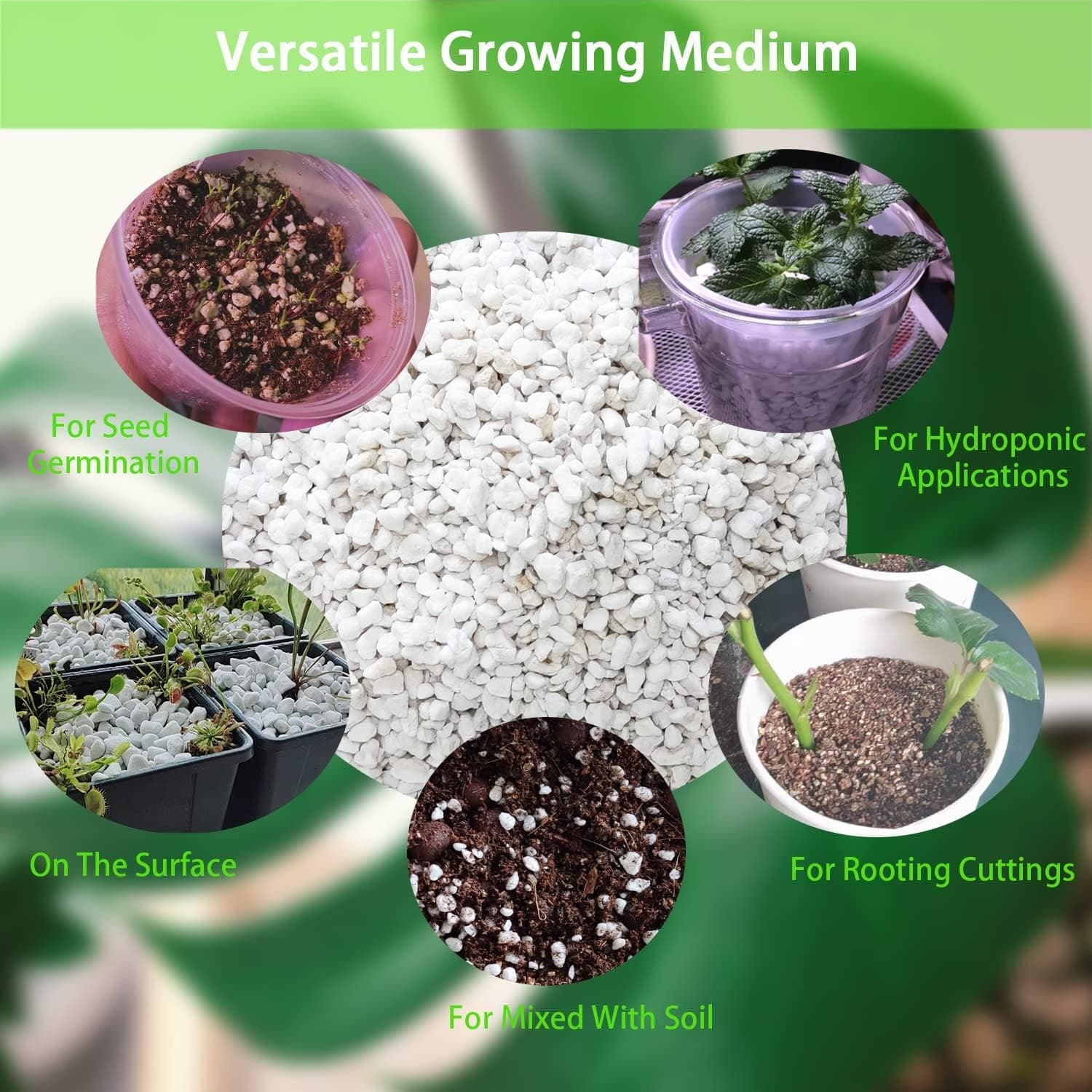 Organic Perlite 5QT Soil Mix for Plants Succulents Drainage Aeration - Thumbnail 8