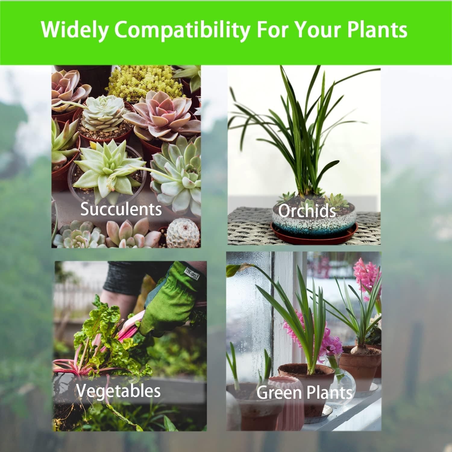 Organic Perlite 5QT Soil Mix for Plants Succulents Drainage Aeration - Thumbnail 4