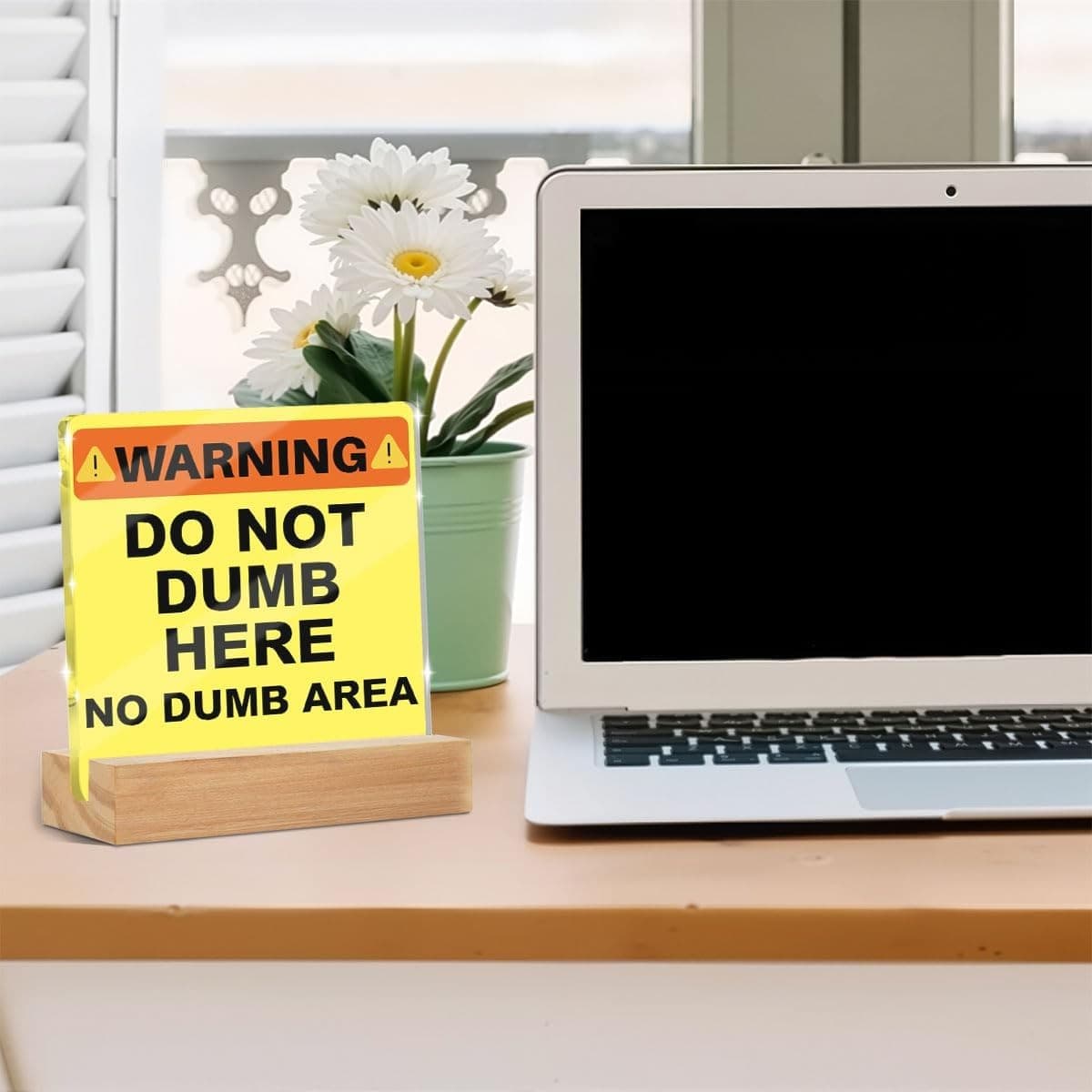 Funny Office Desk Decor Acrylic Sign Do Not Dumb Here 4x4 Gift Coworker - Thumbnail 5