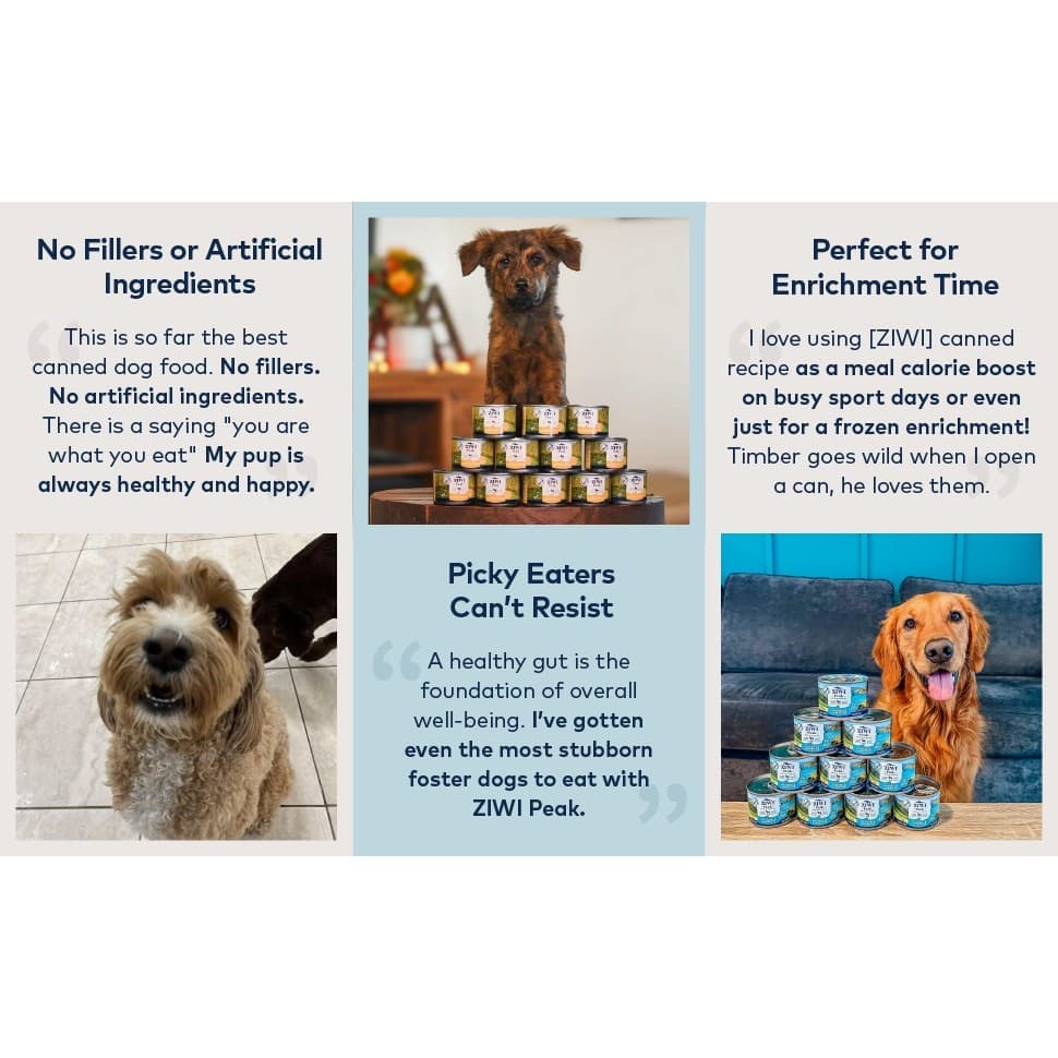 Ziwi Peak Chicken Wet Dog Food Grain Free High Protein 13.75oz ( 12 Pack ) - Thumbnail 11