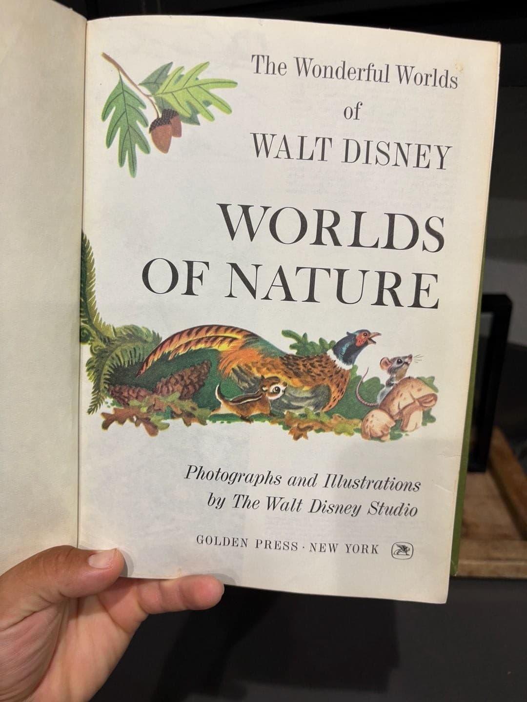 Vintage 1965 The Wonderful Worlds of Walt Disney Worlds of Nature Hardcover Book - Thumbnail 7
