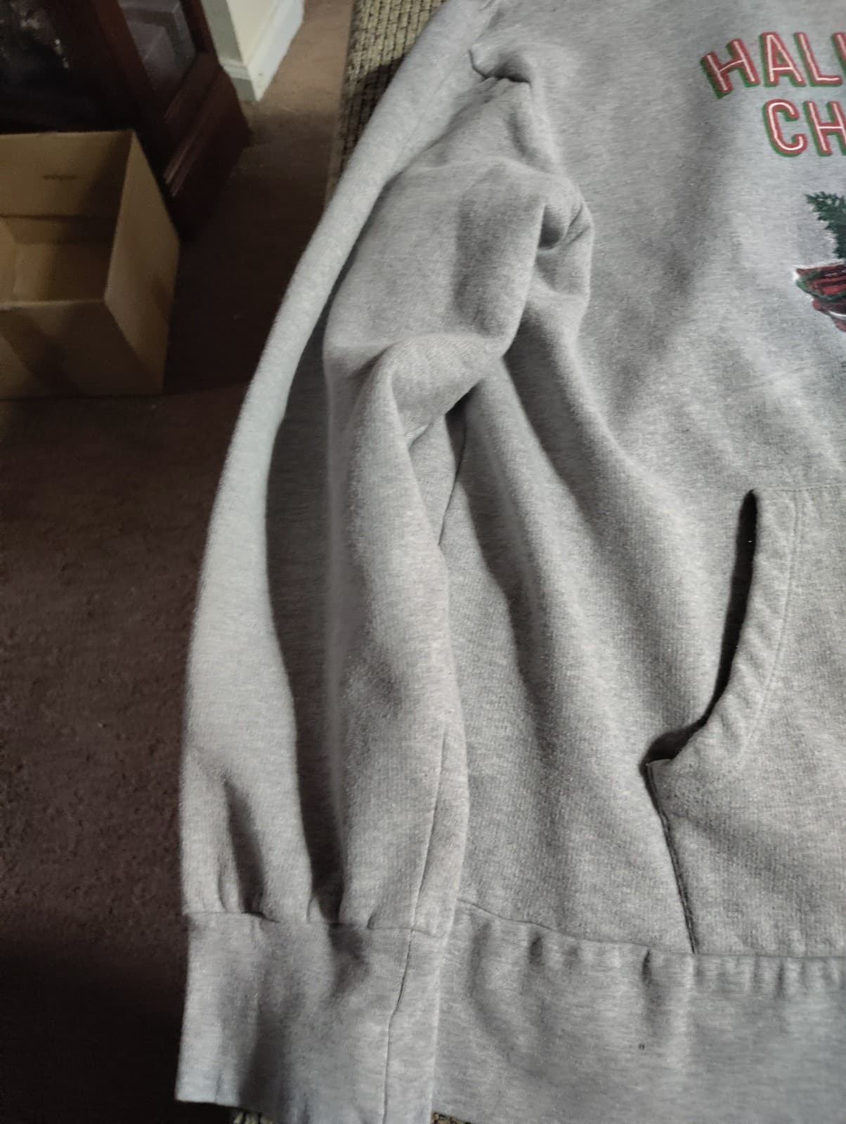 HALLMARK CHANNEL #1 Fan Hooded Sweatshirt Gray with Plaid lining and Truck Print - Thumbnail 2