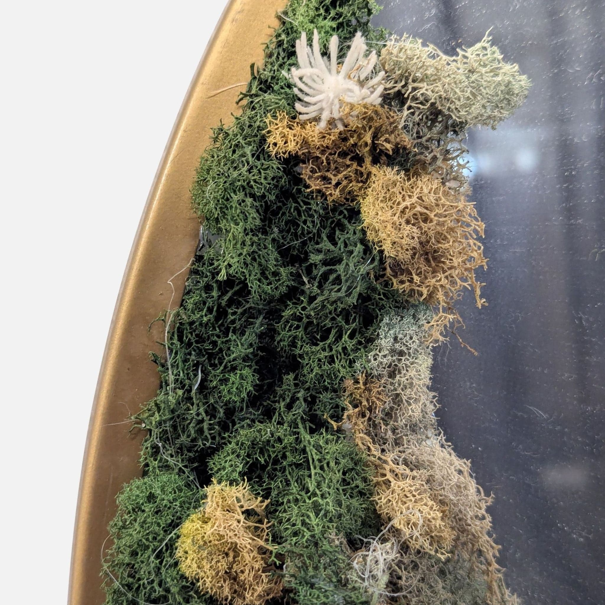 Circular Mirror with moss frame - Thumbnail 2