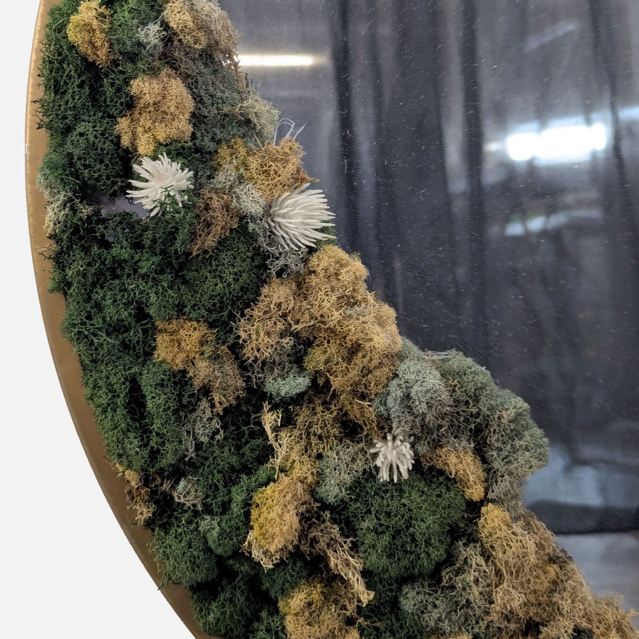 Circular Mirror with moss frame - Thumbnail 4