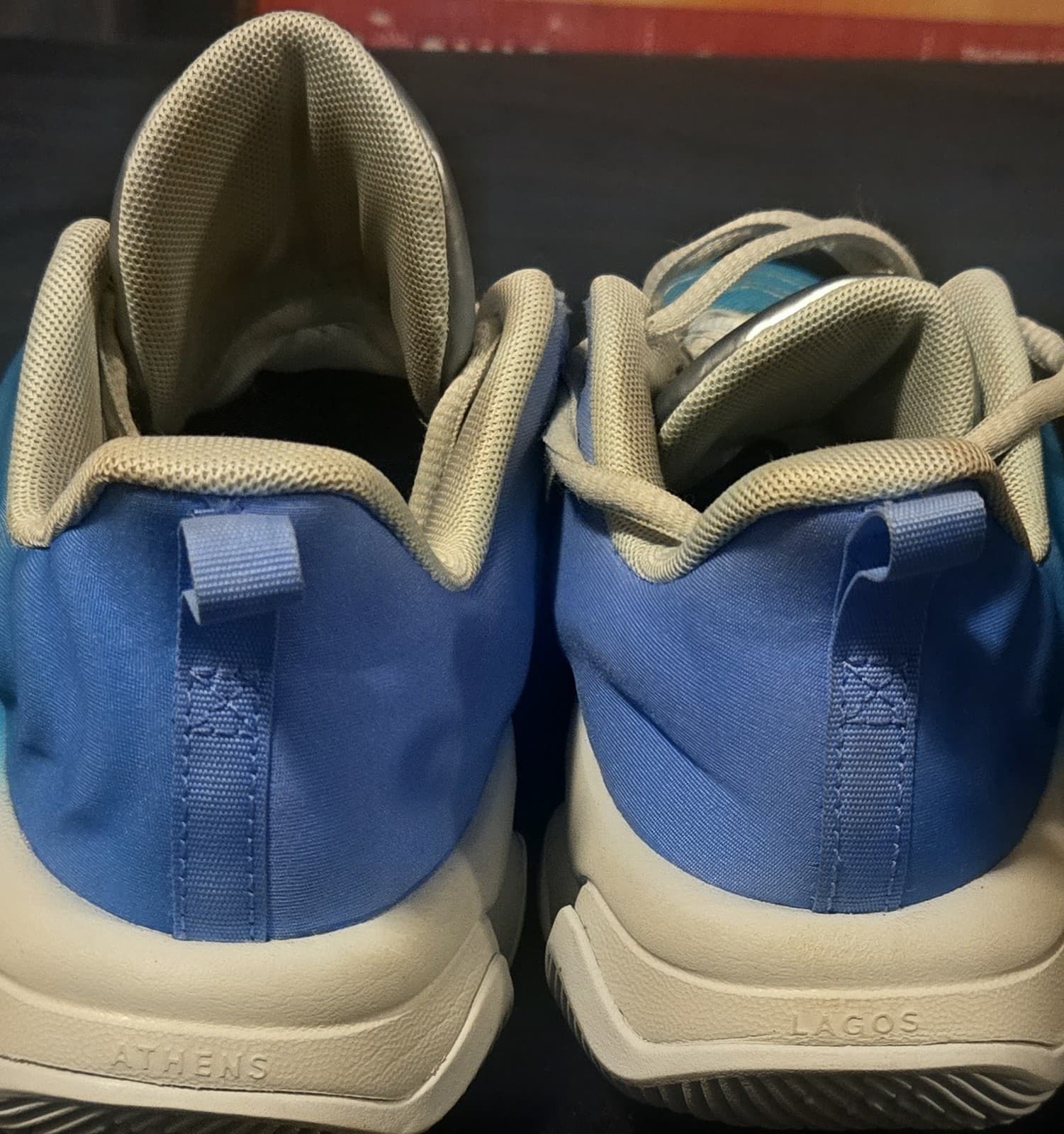 Slightly Used Nike Giannis Immortality 4 Dusty Cactus 5Youth Basketball Shoes - Thumbnail 3