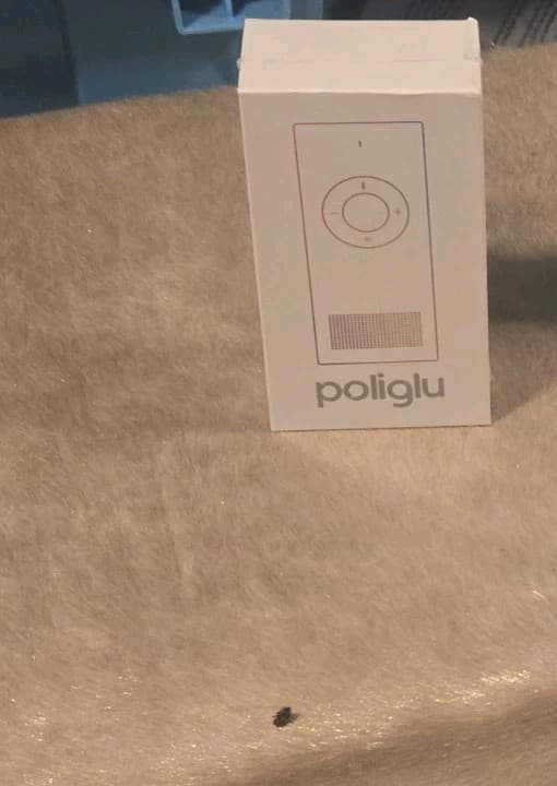 Poliglu Language Translator - Thumbnail 3