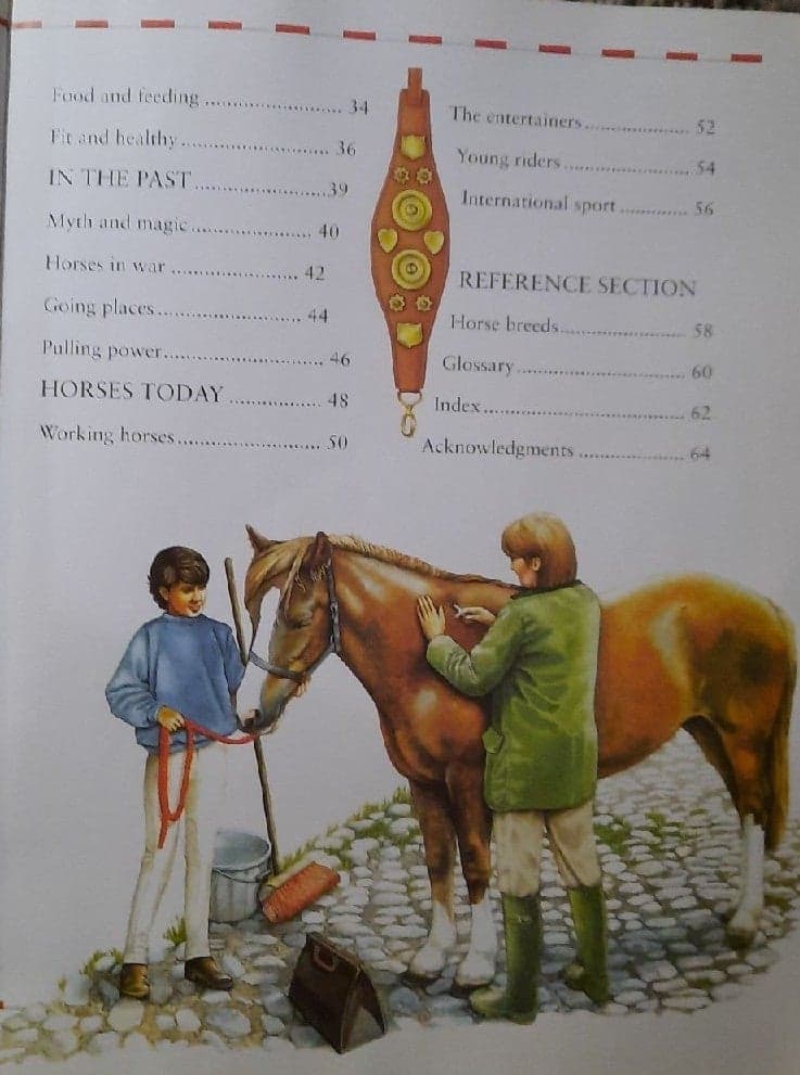Horses by Jackie Budd - Thumbnail 5