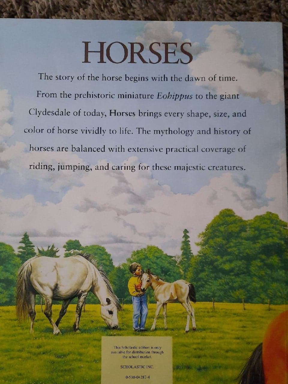 Horses by Jackie Budd - Thumbnail 2