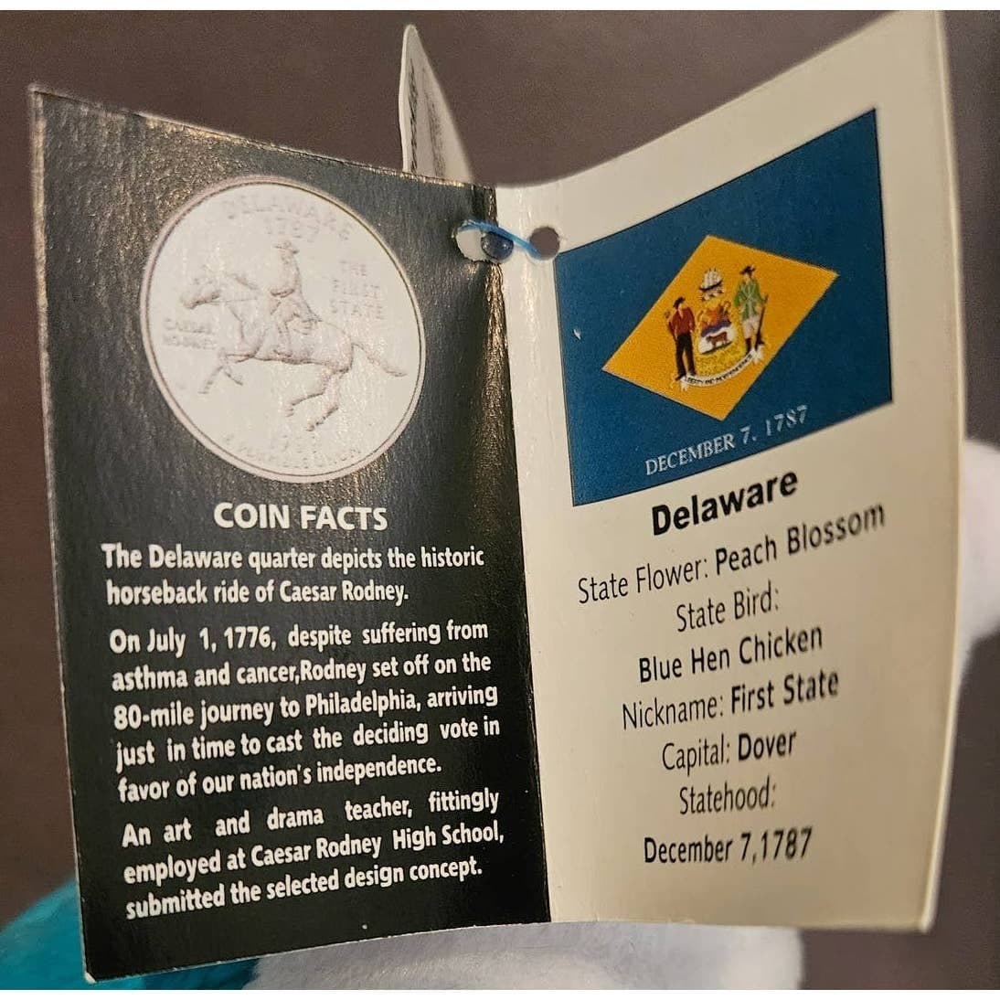 DELAWARE #1 Coin Bear Limited Treasures Collectible Uncirculated Quarter - Thumbnail 6
