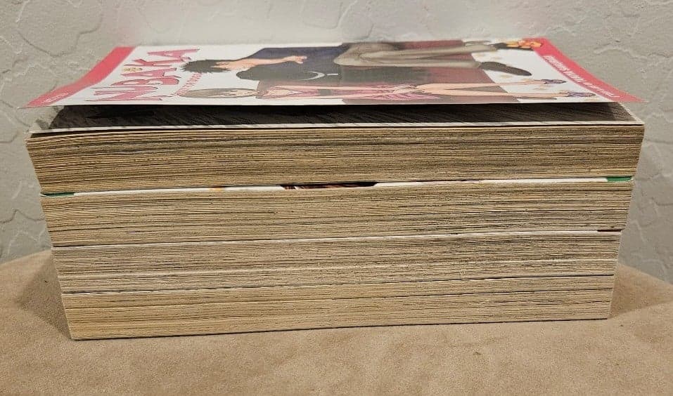 Inubaka: Crazy for Dogs Volumes 6-9 Manga - Thumbnail 6
