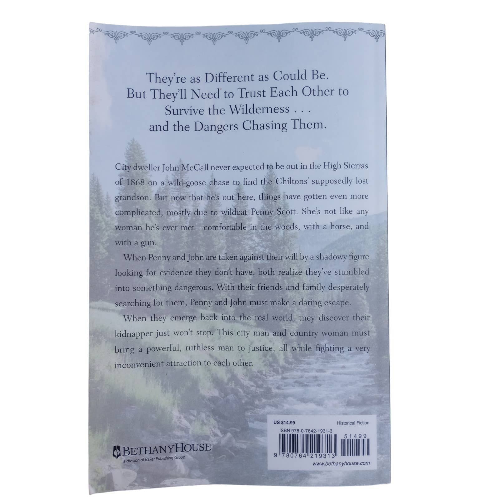 The Unexpected Champion by Mary Connealy Paperback - Thumbnail 2