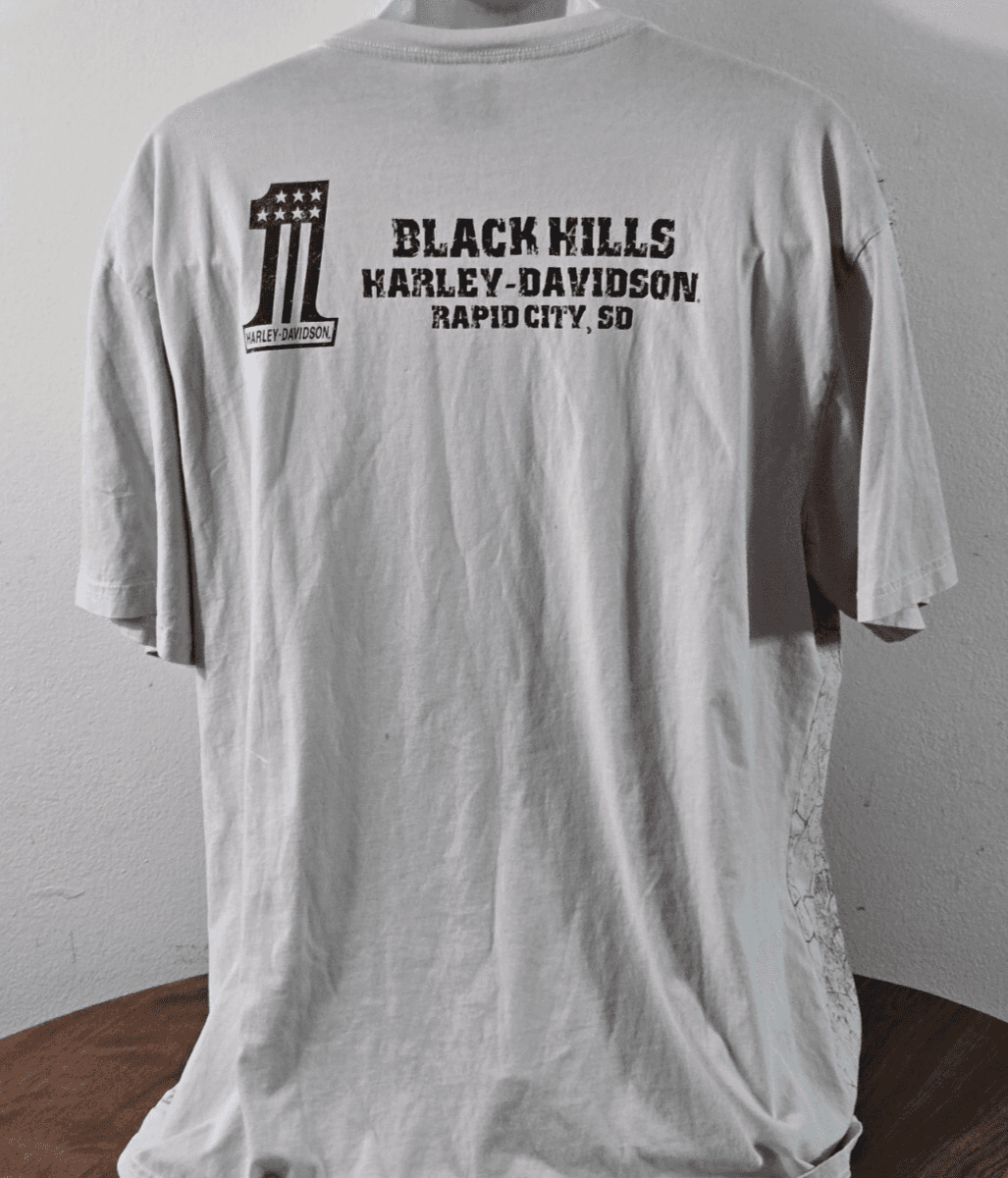 Harley Davidson T Shirt Graphic Tee Shirt Gray Size 2XL Black Hills SE 2017