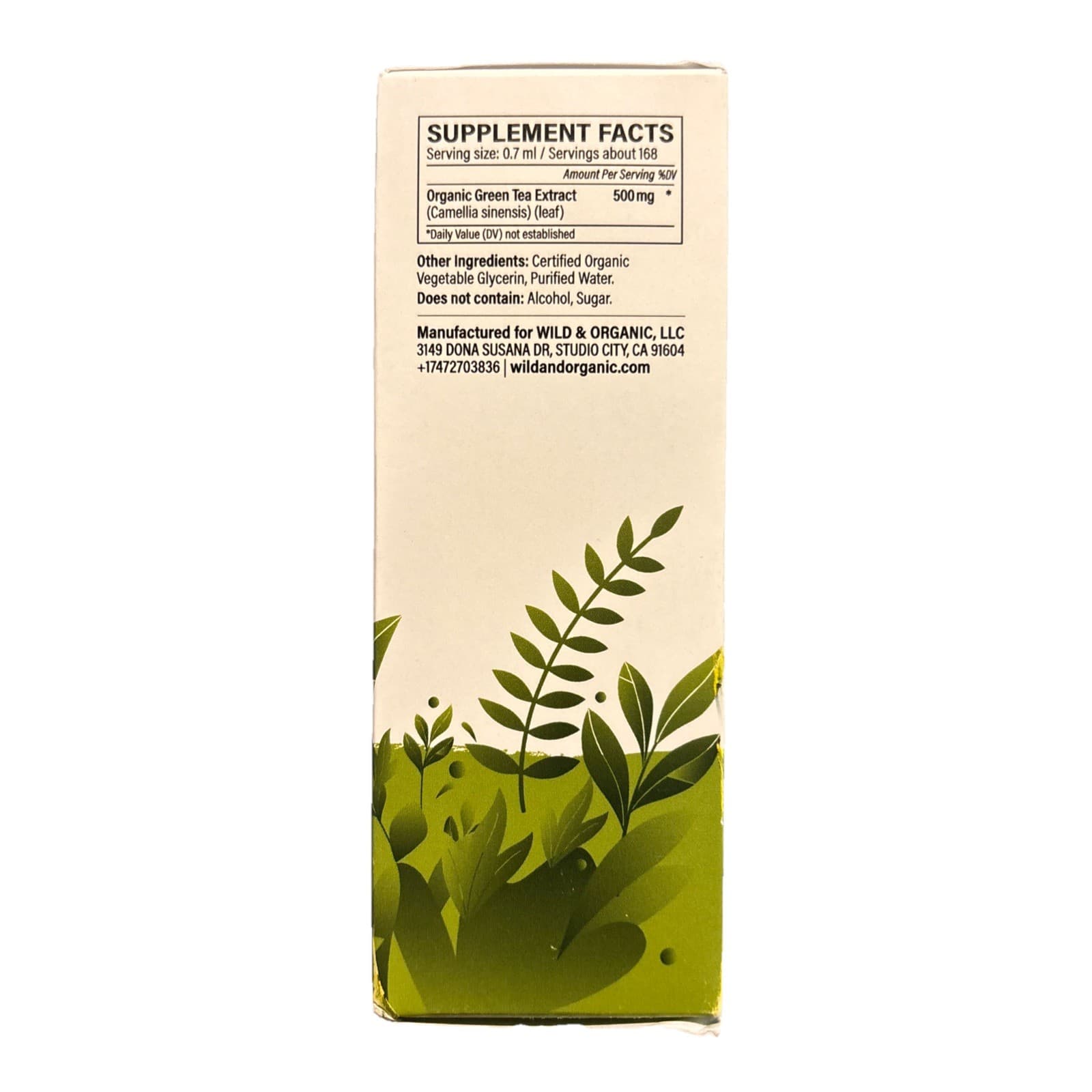 Green Tea Extract Liquid Drops - Antioxidant-Rich Green Tea Supplement -⭐️⭐️⭐️⭐ - Thumbnail 2