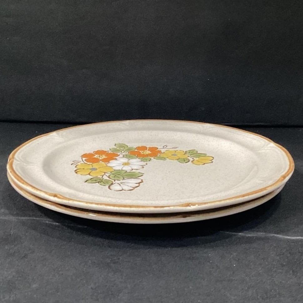 Set 2 Vintage Hearthside Stoneware Baroque Spring Garden Floral Dinner Plates - Thumbnail 9