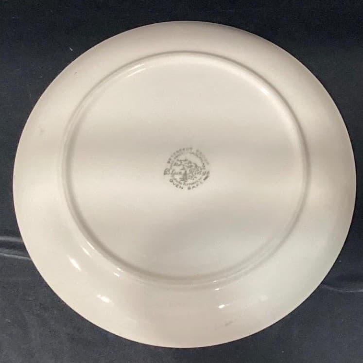 Blue Ridge PINK Spiderweb Dinnerware- 10-3/8" Dinner Plate - Thumbnail 4