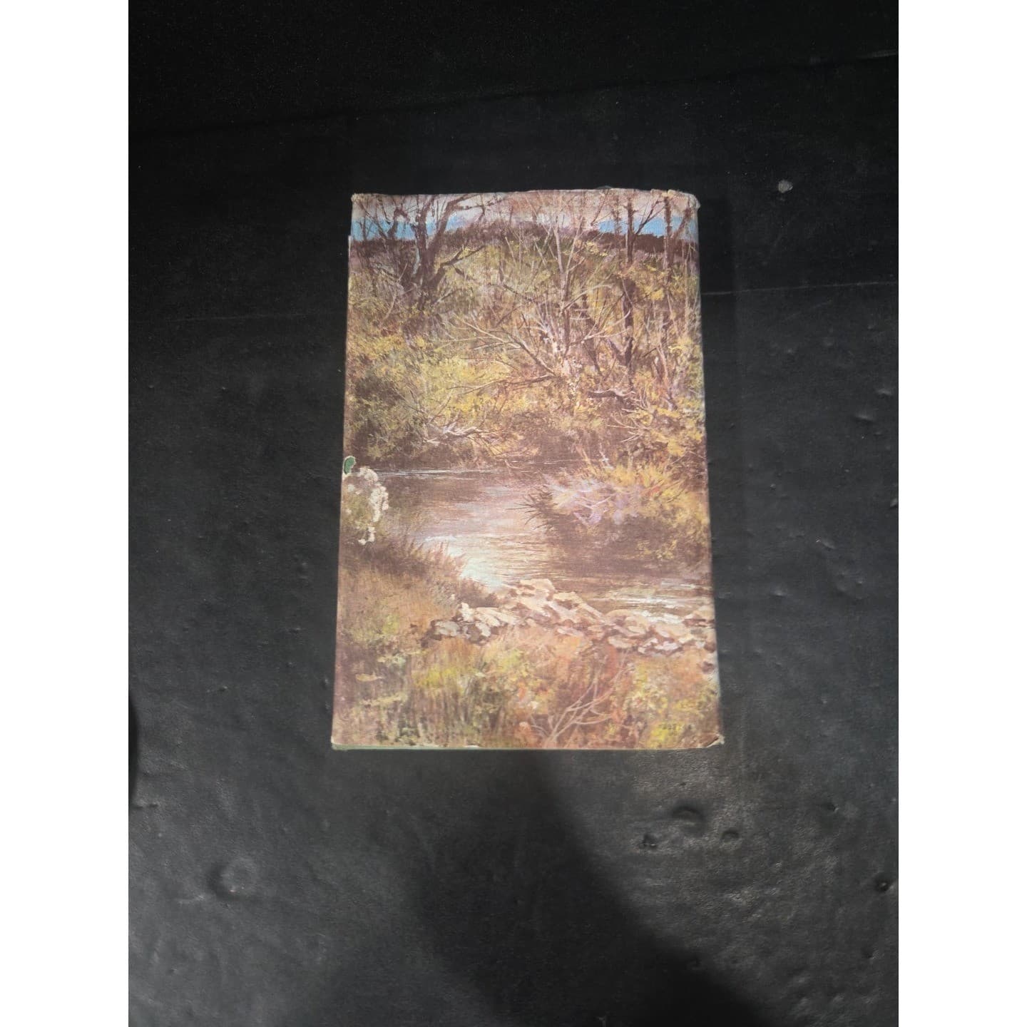 Dark Hills to Westward The Saga of Jennie Wiley by Harry M Caudill, Hardcover - Thumbnail 7
