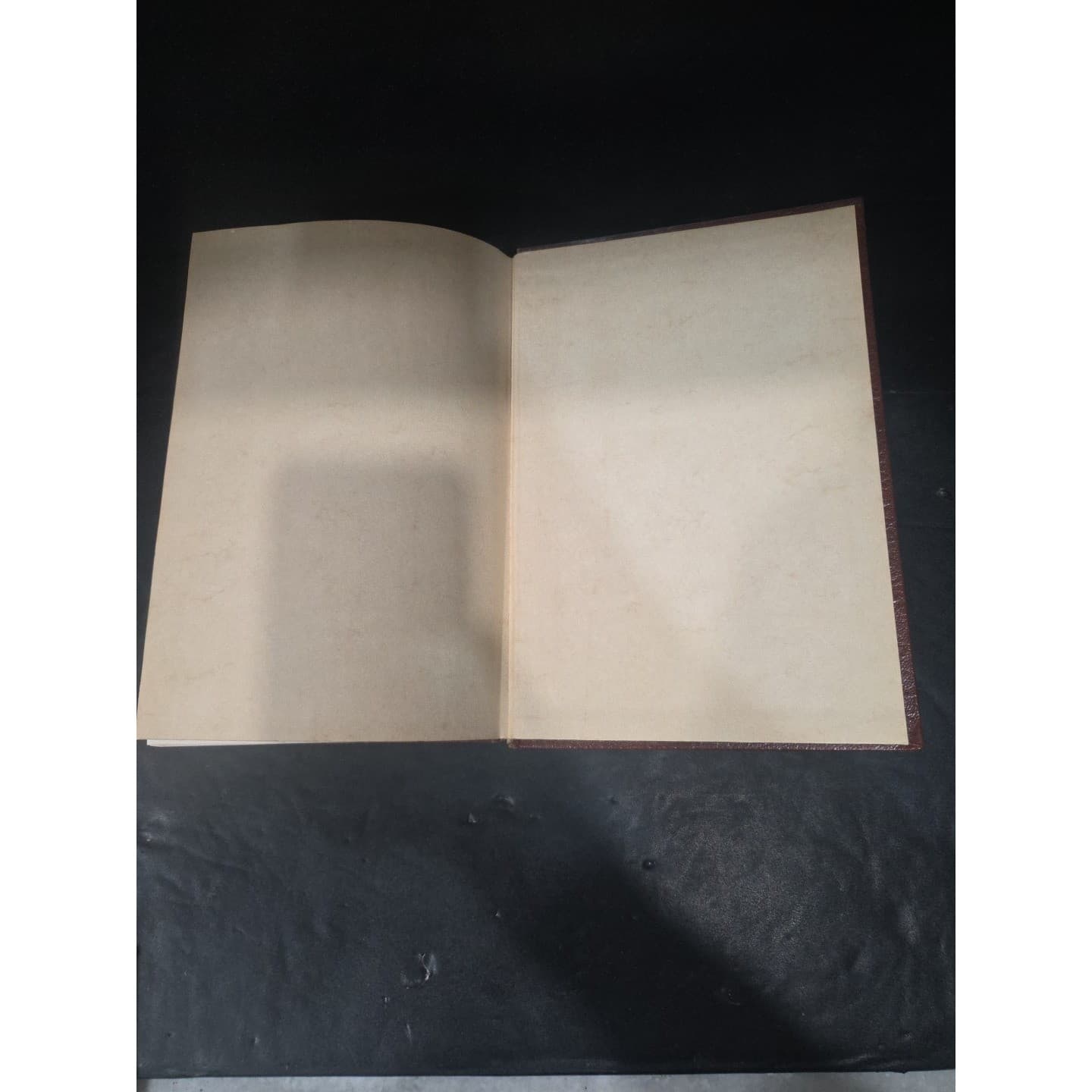 New Illustrated Davis Dictionary of the Bible Revised Edition, Hardcover - Thumbnail 6