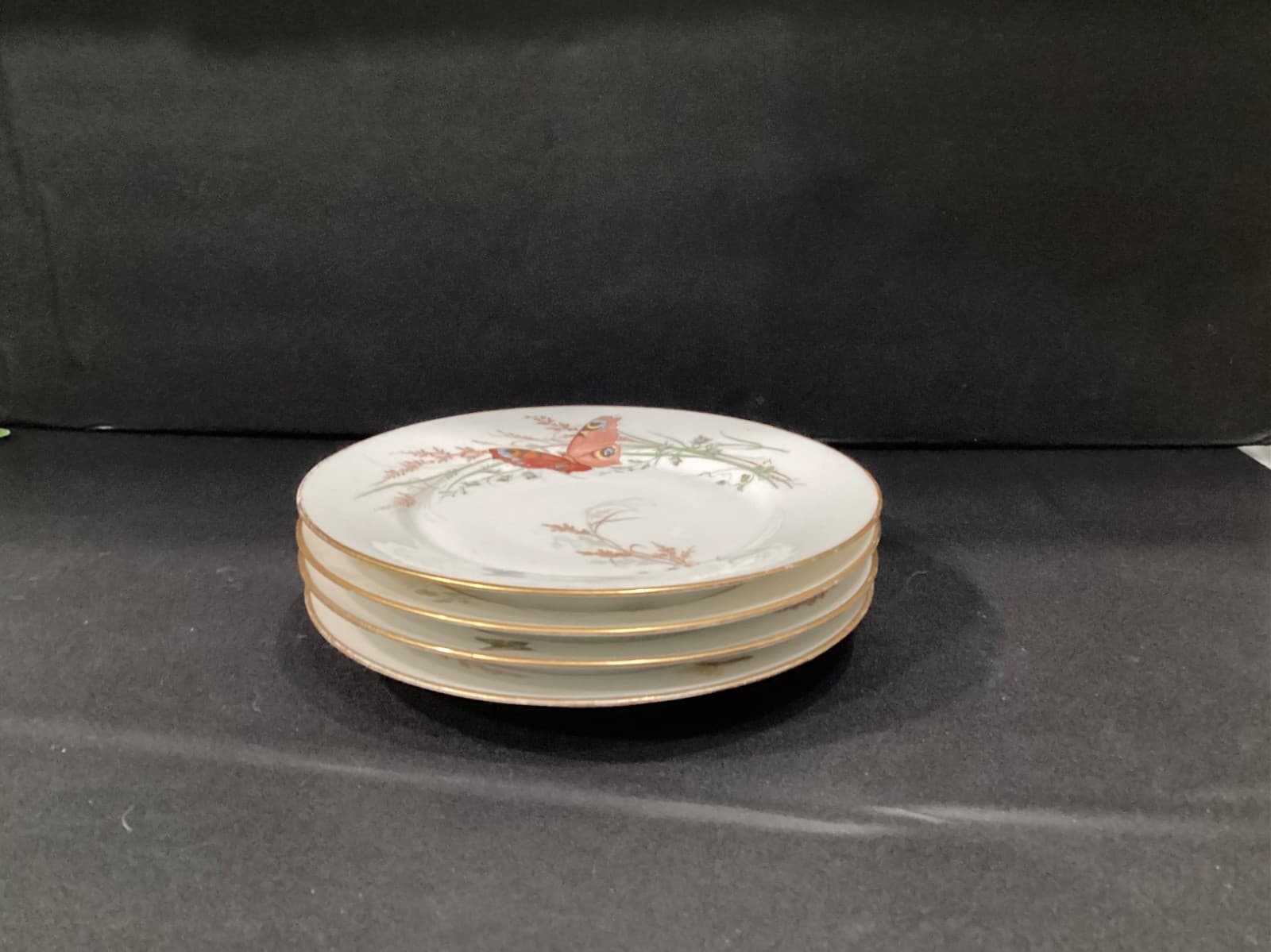Haviland Meadow Visitors Luncheon Plates Smooth Gold Trim Set Of 4 Butterflies * - Thumbnail 9