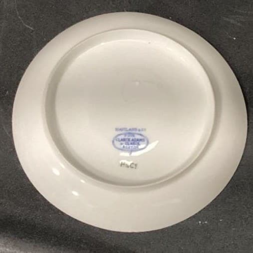 Haviland Limoges Meadow Visitors Demitasse Cup and Saucer, Vintage Two Piece Set - Thumbnail 8