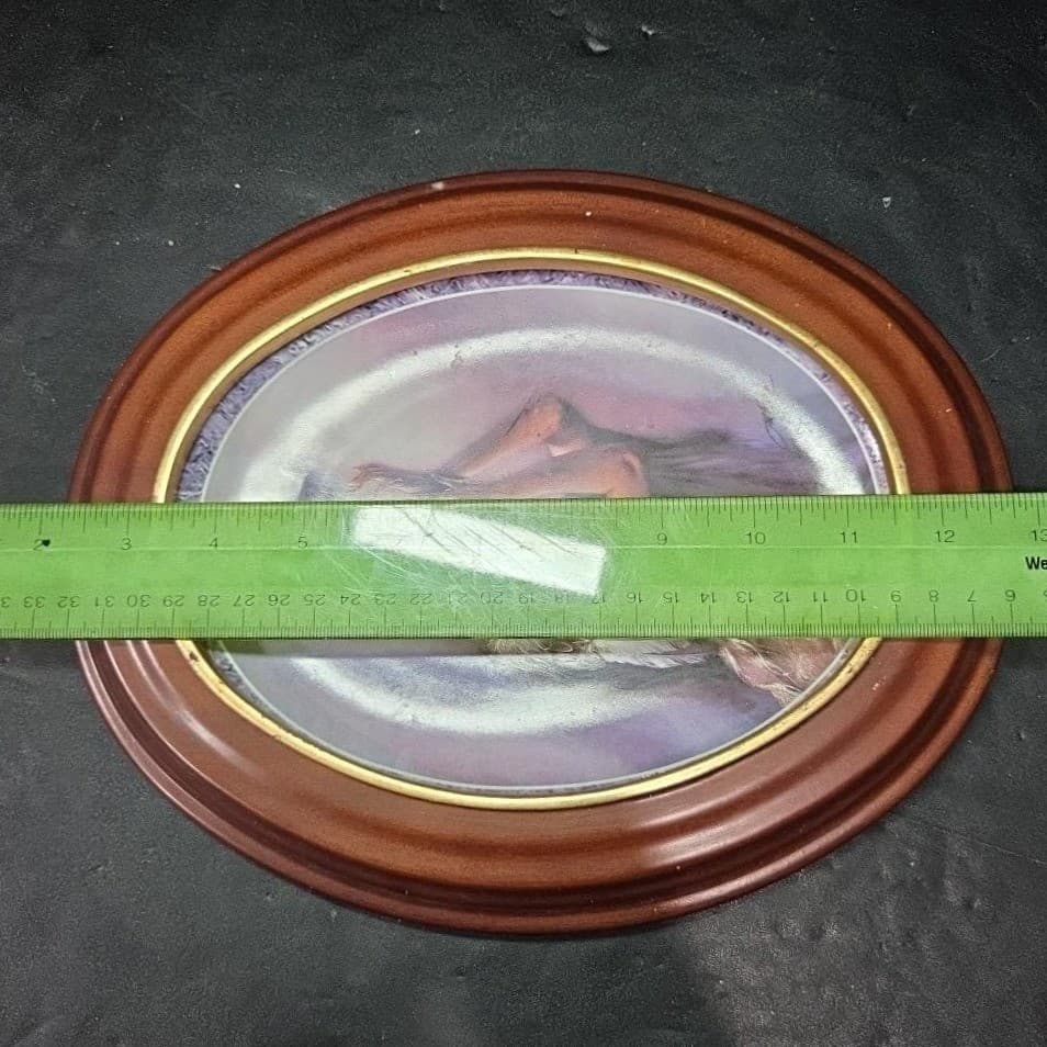 Bradford Exchange "The Vision" Collector Plate, Messengers of Spirit Collection - Thumbnail 6