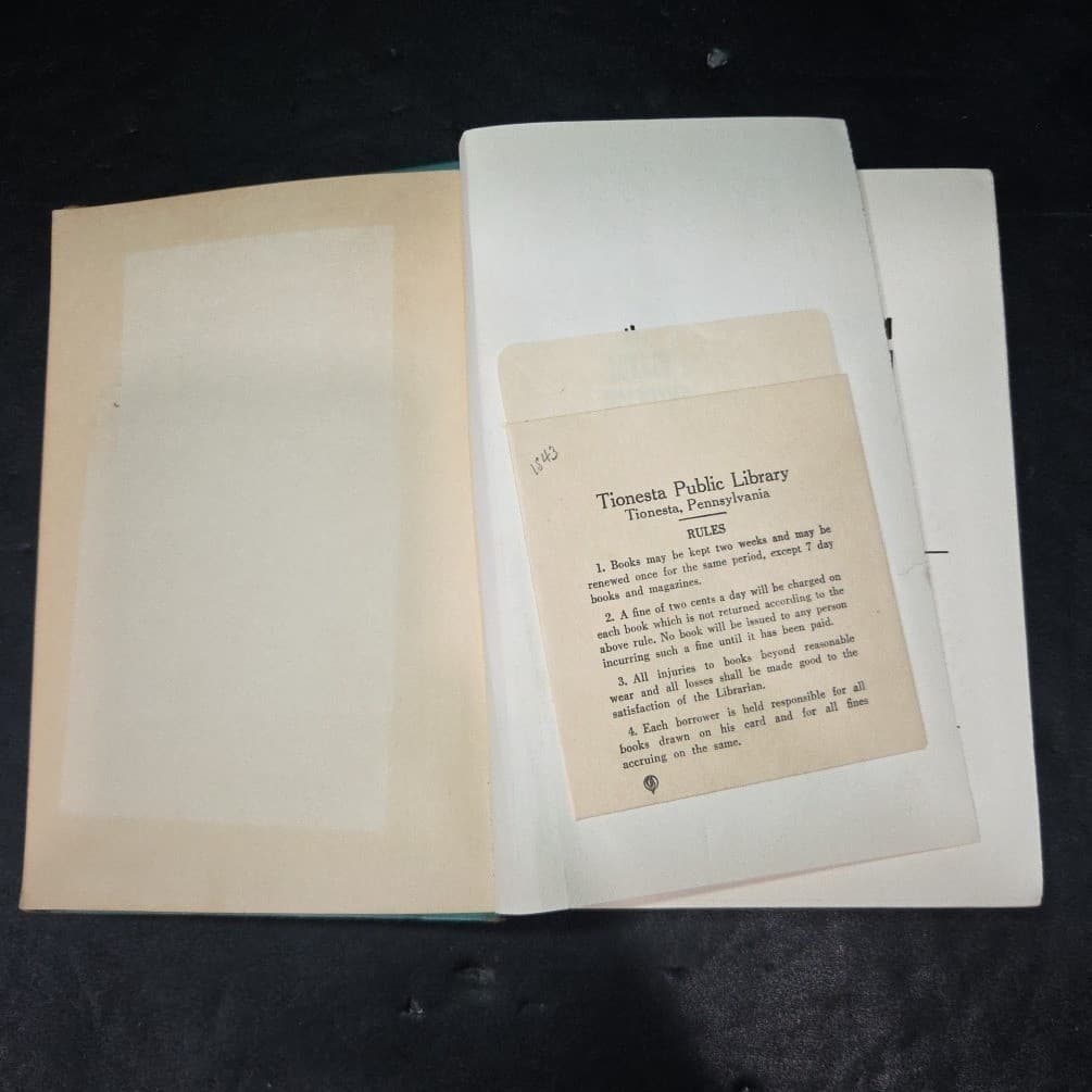 The Lovely Duckling by Lida Larrimore, 1951 First Edition Hardcover Macrae Smith - Thumbnail 4