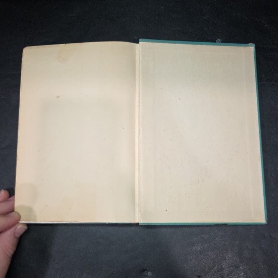 The Lovely Duckling by Lida Larrimore, 1951 First Edition Hardcover Macrae Smith - Thumbnail 8