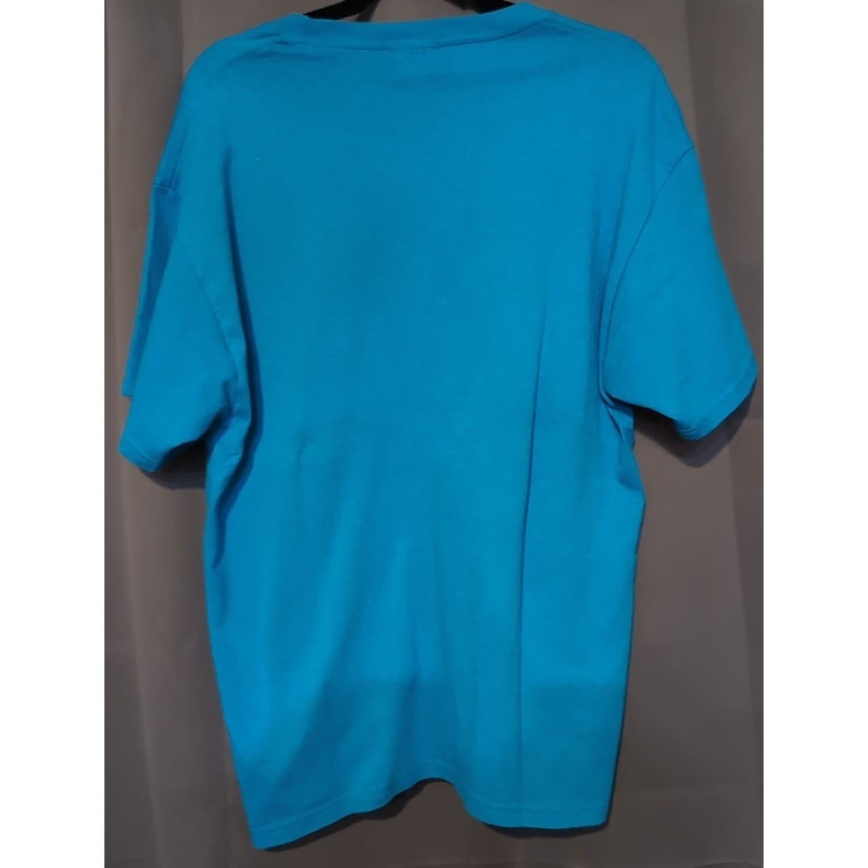 Hanes Heavyweight We Are Jaguars Graphic Tee, Blue Short Sleeve Shirt, Large - Thumbnail 3