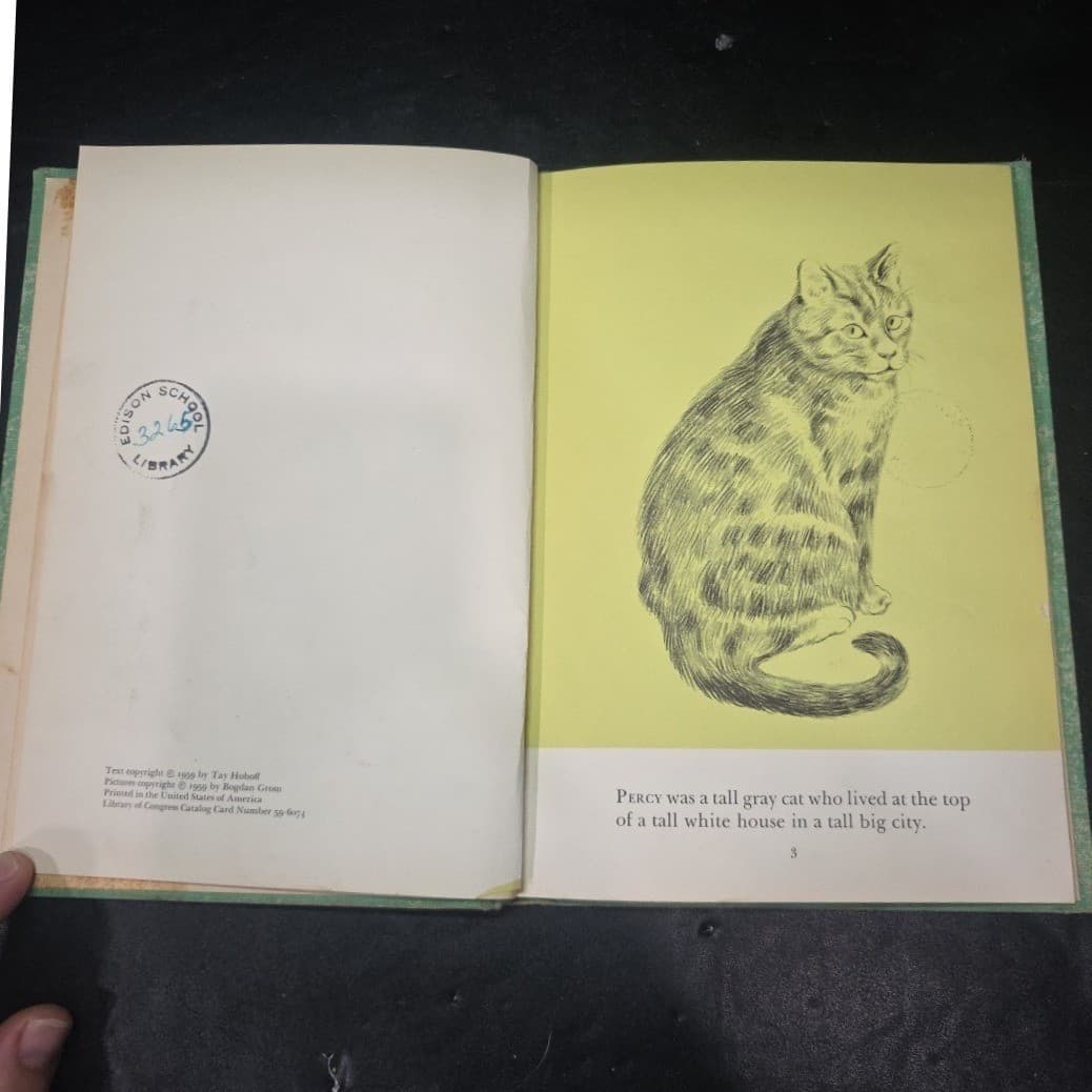 The Cat Who Wanted Out by Tay Hohoff, 1959 Vintage Hardcover, Ex-Library Book - Thumbnail 5