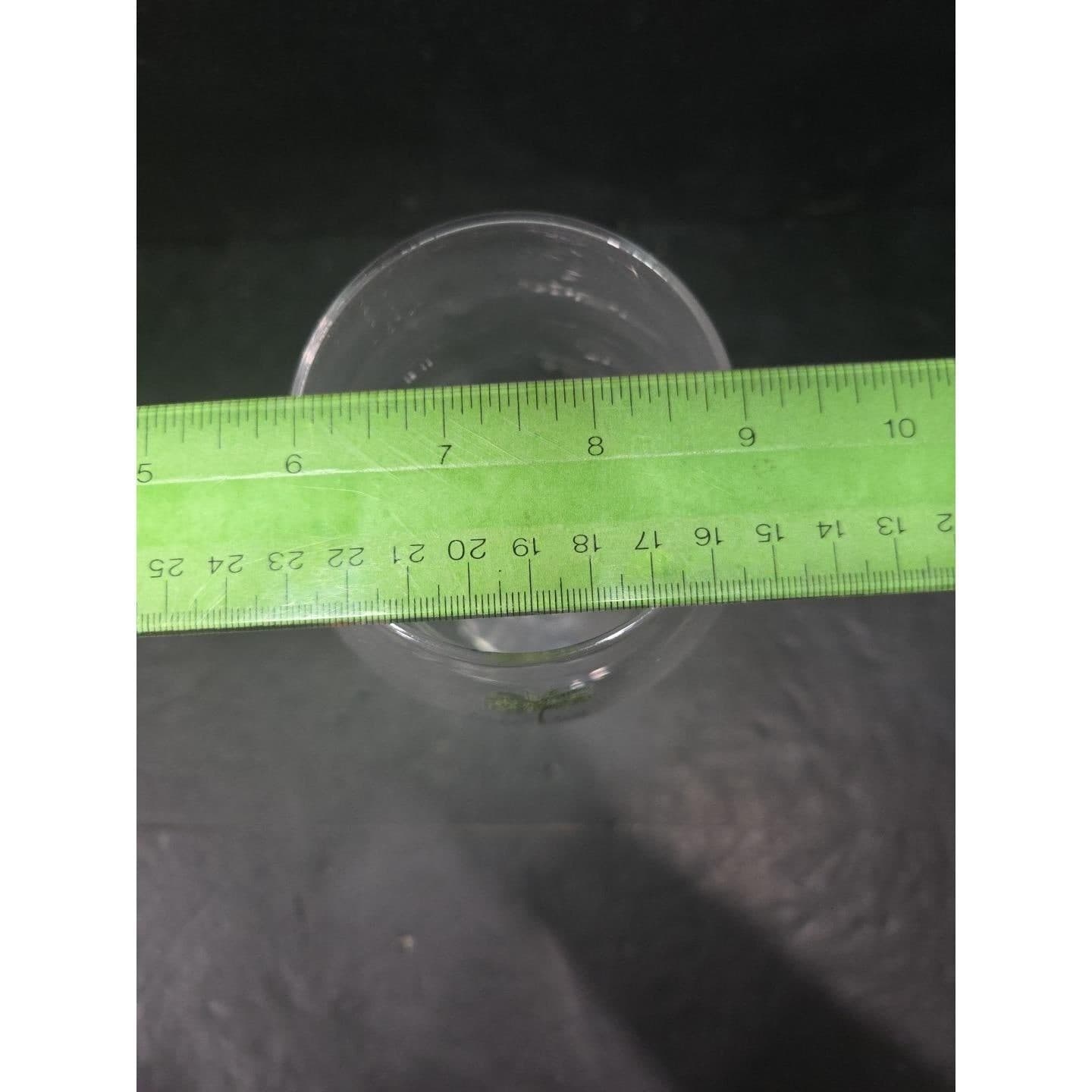 Rae Dunn Palm Tree Wine Glass, Large 22oz Balloon Stemware Tropical Beachy Decor - Thumbnail 9