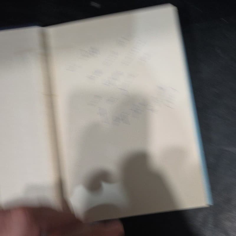 Manhattan Mission Sister Marie Lucita 1967 First Edition Hardcover NYC History - Thumbnail 3