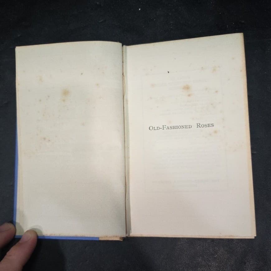 Old-Fashioned Roses James Whitcomb Riley 1904 Poetry Longmans Green Co Antique - Thumbnail 4