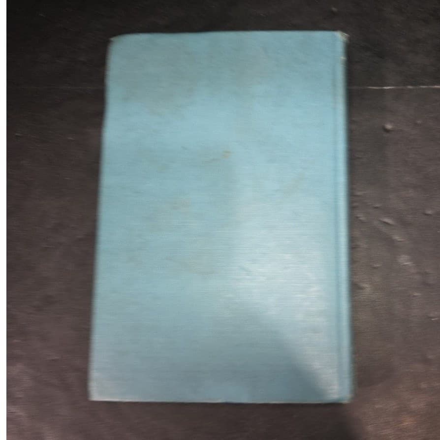 Eudora or The False Princess Mrs Southworth Antique 1910 Blue Decorative Book - Thumbnail 8