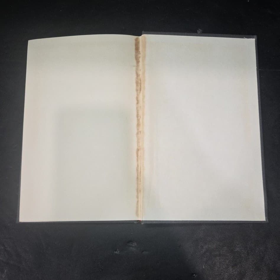 The Rediscovery of the Frontier Percy H Boynton 1968 Greenwood Press Hardcover - Thumbnail 7